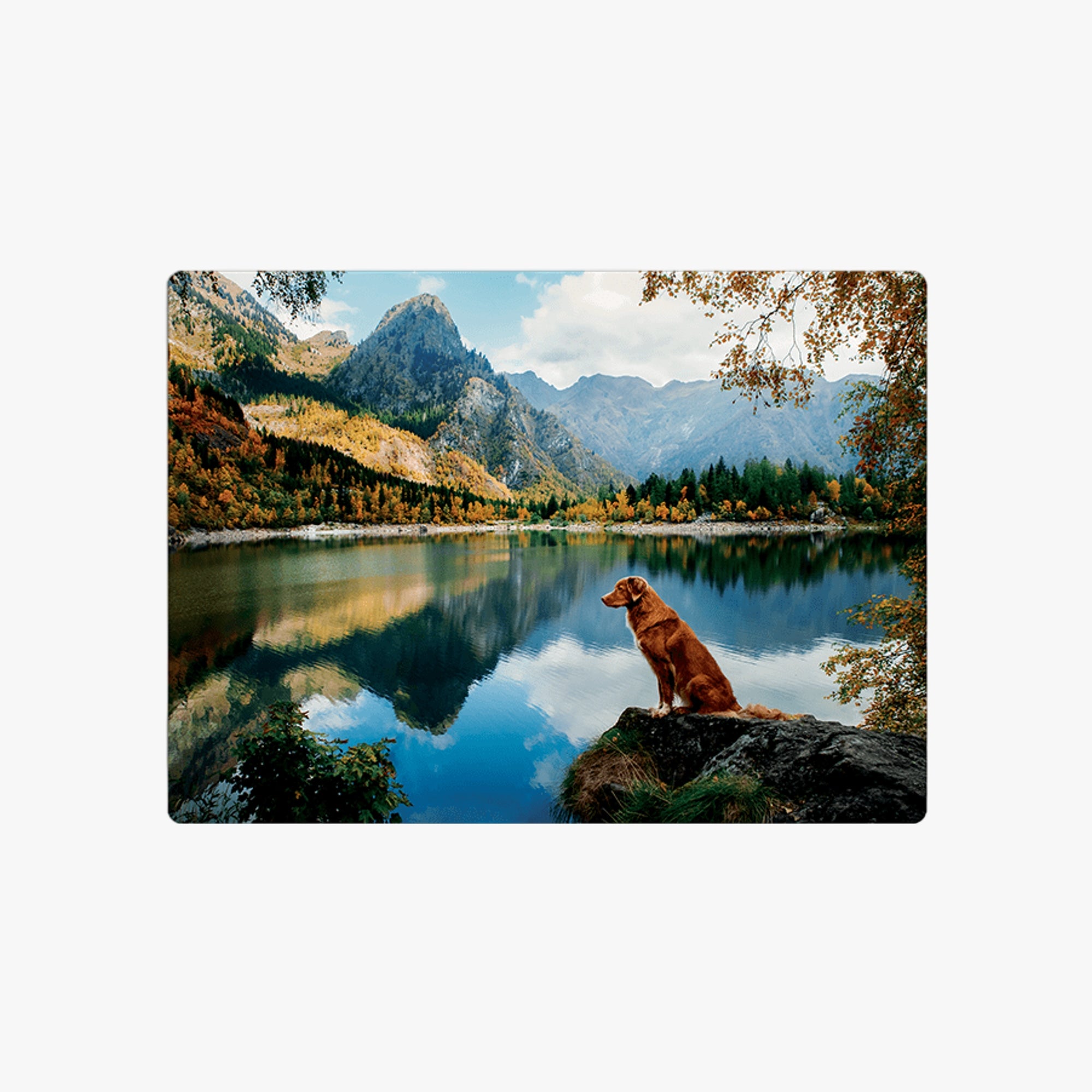 Quebra-Cabeça Passeio no Lago 500 Peças