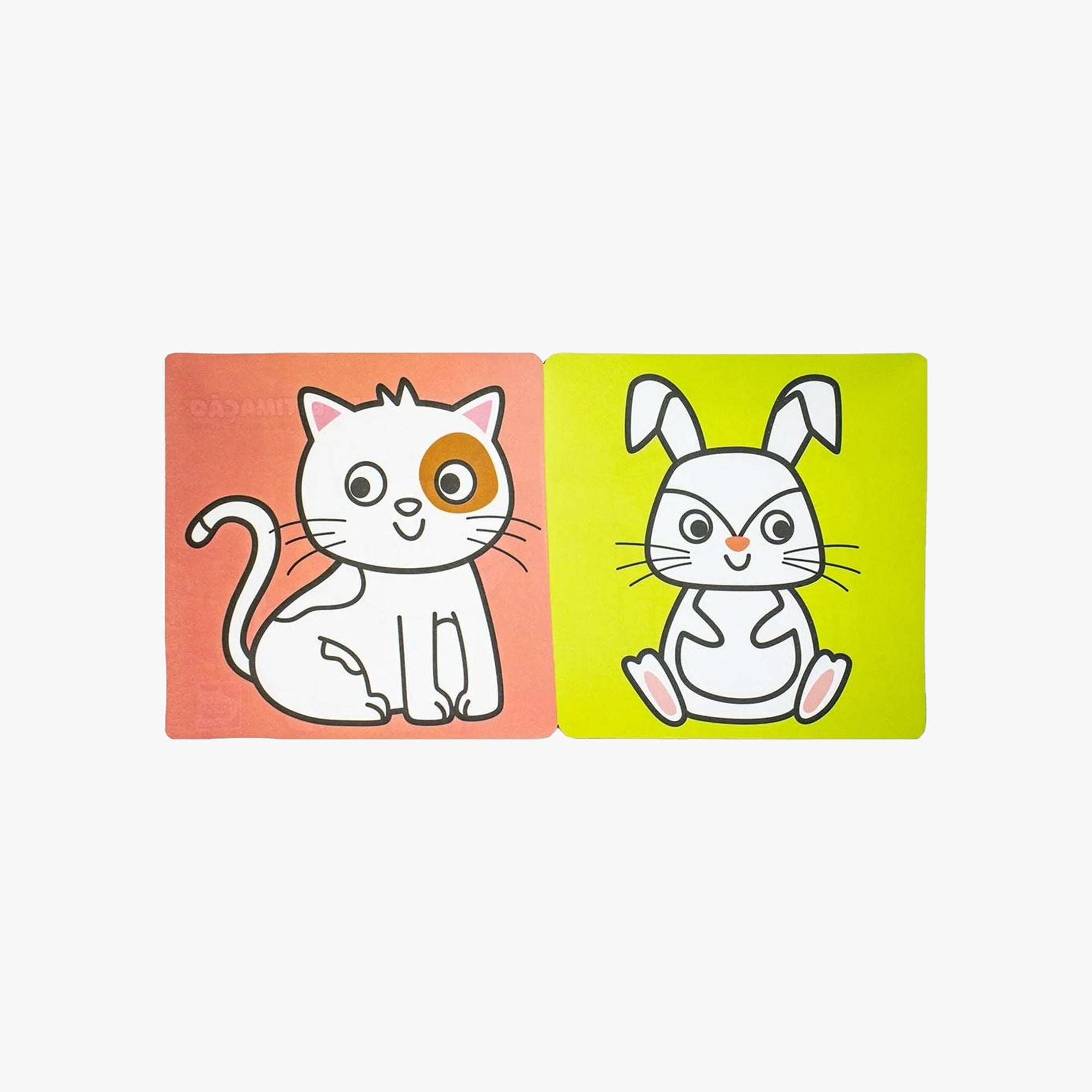 Livro-Sanfona Para Colorir Animais de Estimação