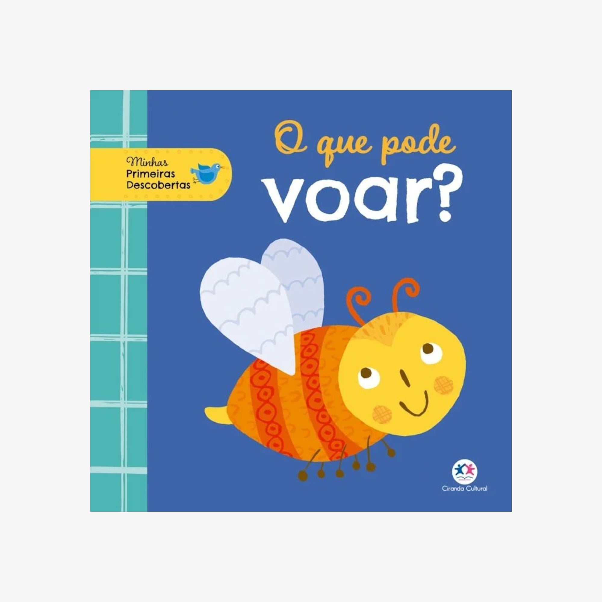 Livro Infantil O que pode voar?