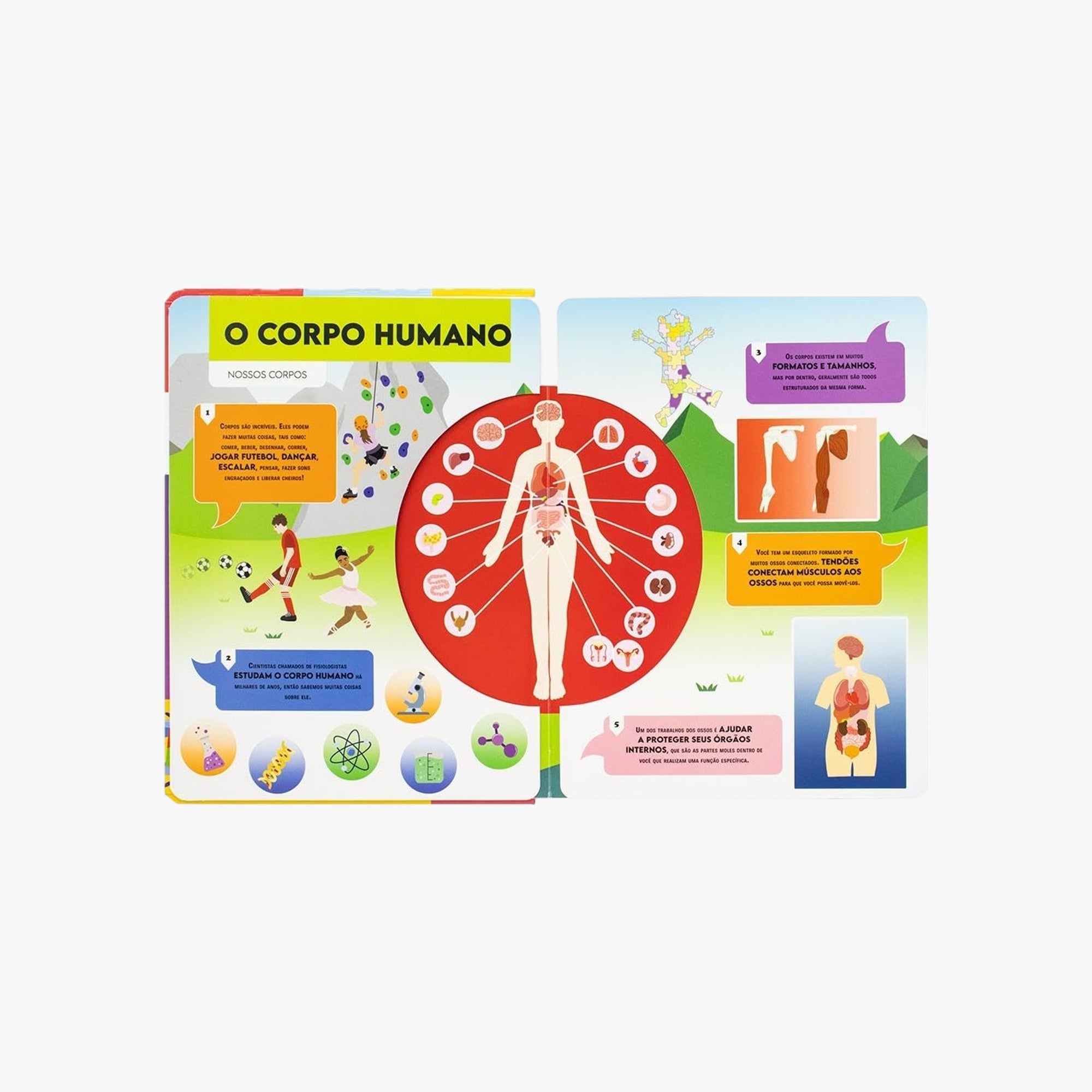 Livro Vamos Falar Sobre Corpo Humano