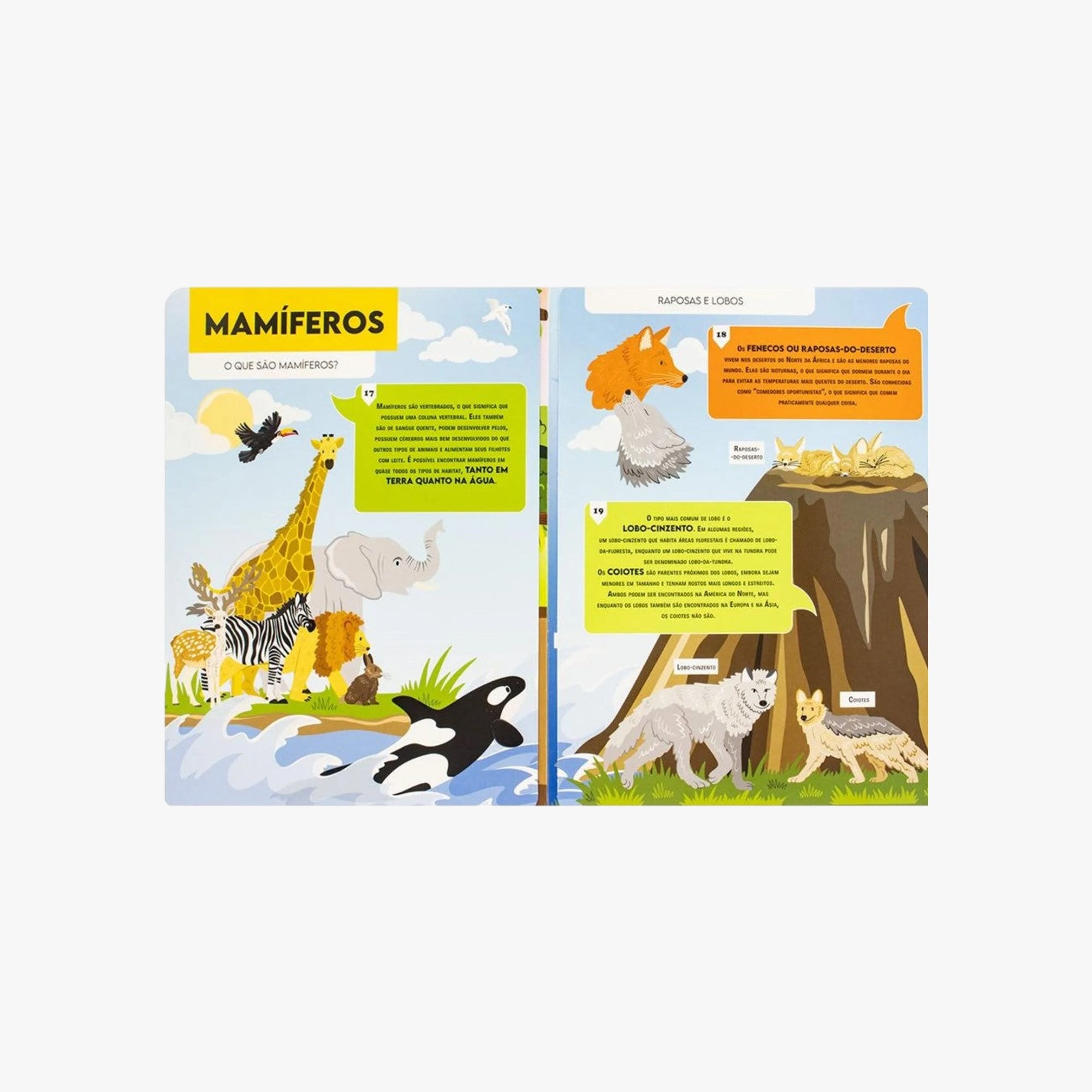 Livro Vamos Falar Sobre Reino Animal