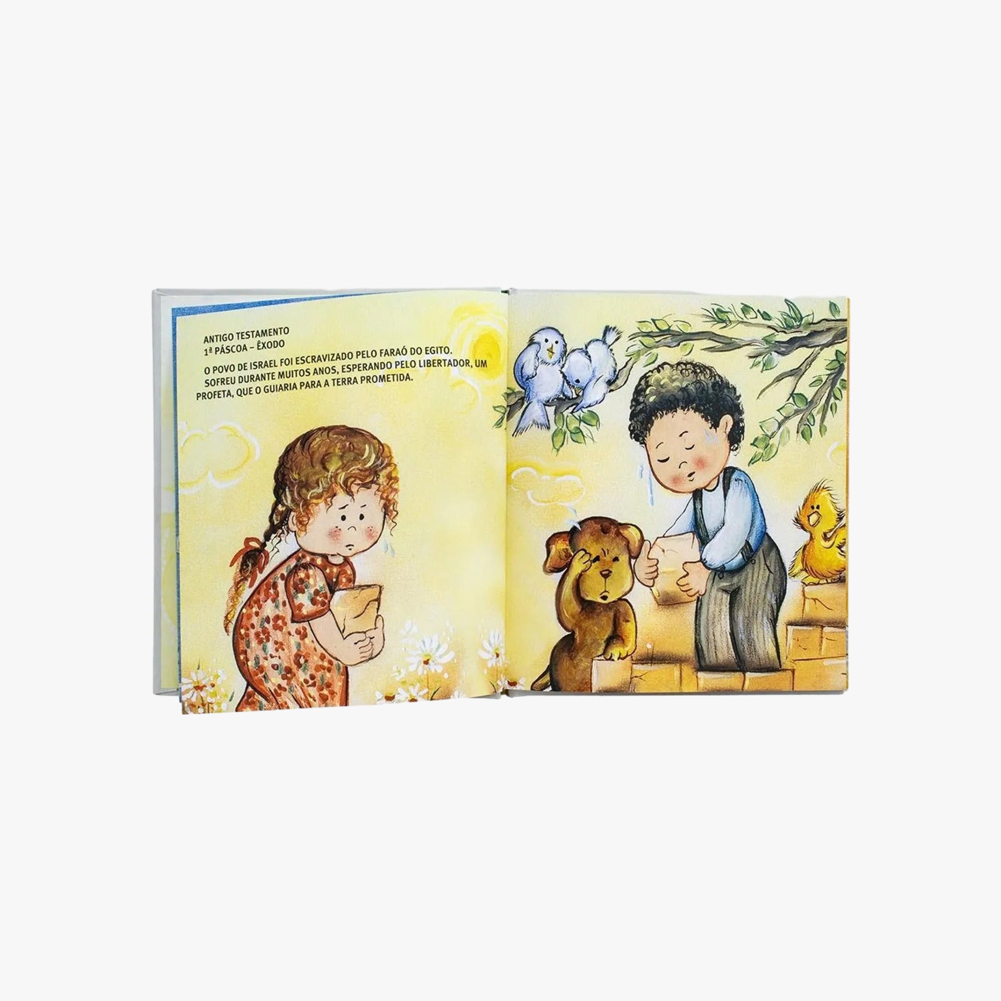 Livro Celebrar a Fé! A História da Páscoa