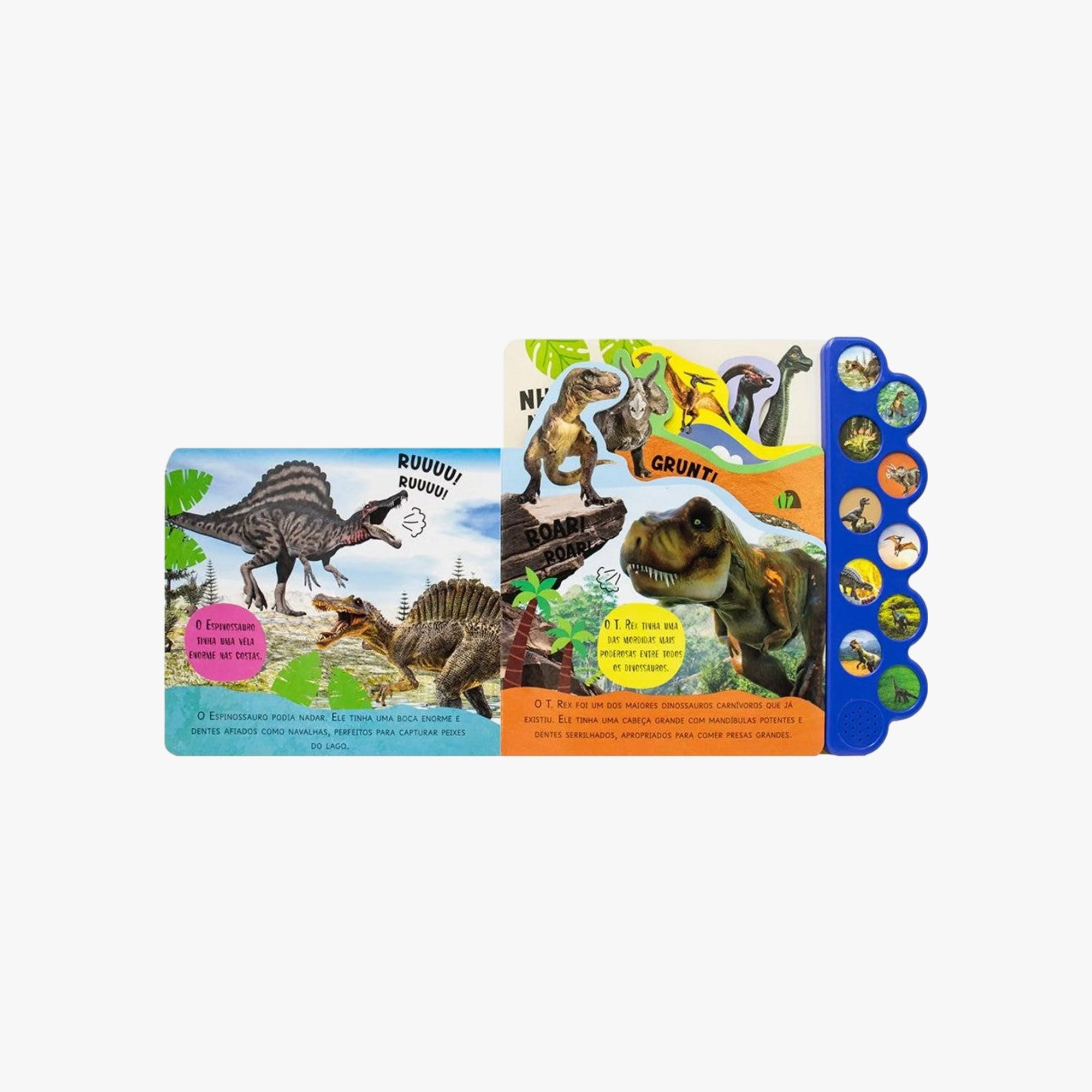 Livro Infantil Leia e Ouça Dinossauro