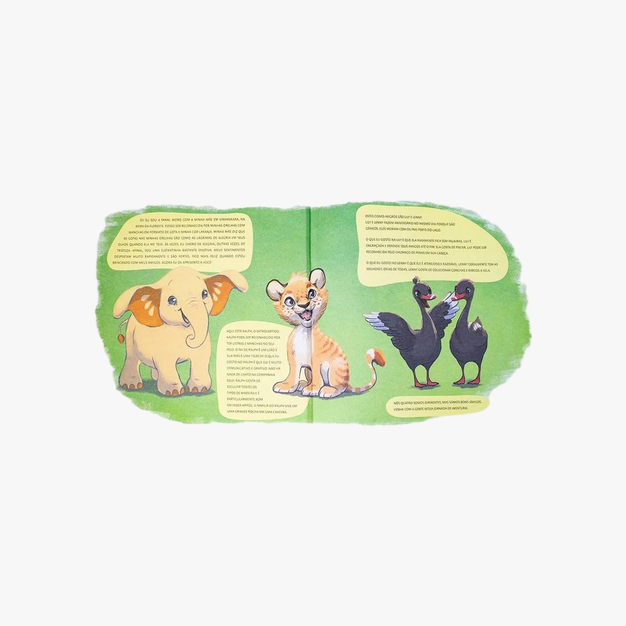 Livro Fanni e os gêmeos irritados