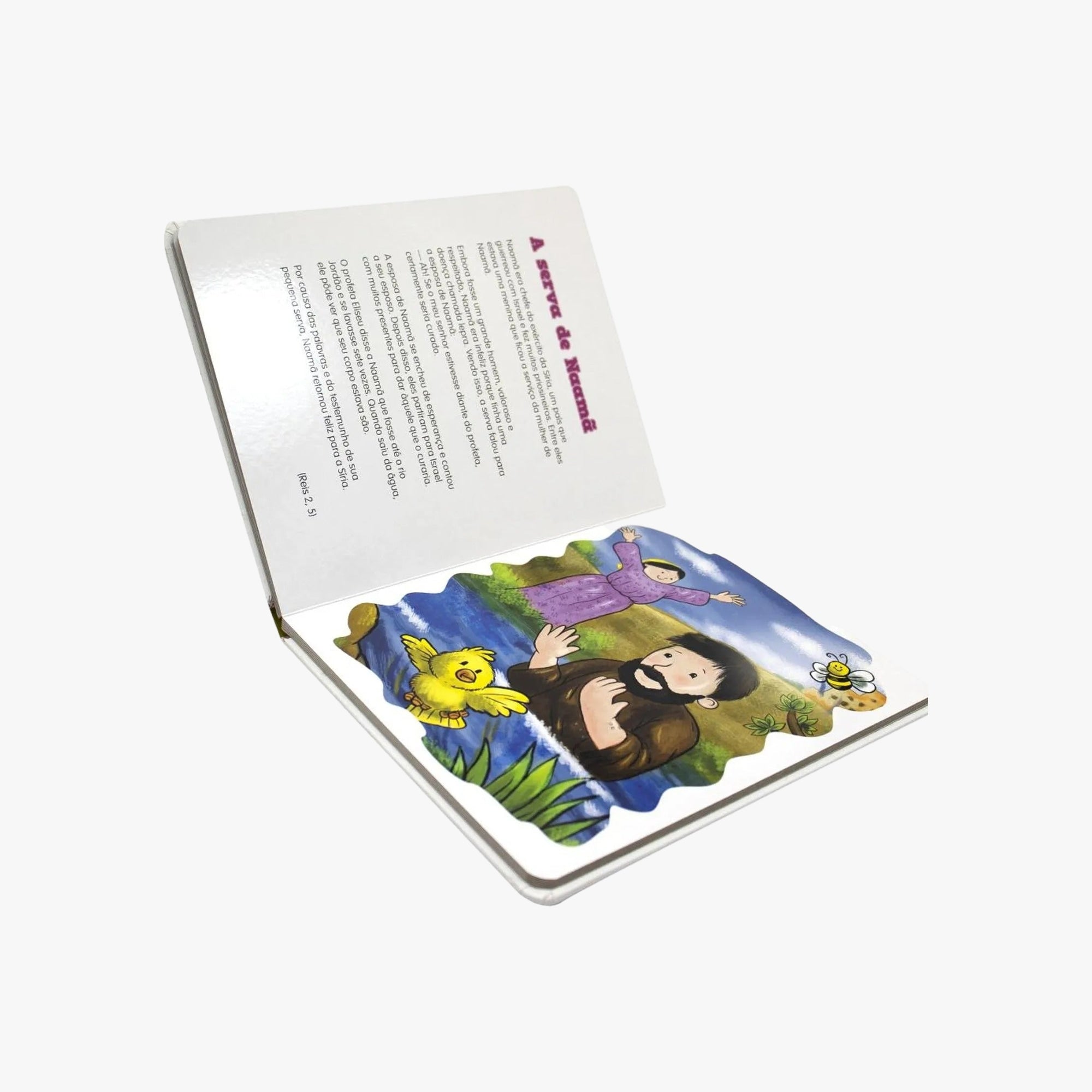 Livro História da Bíblia para Meninas