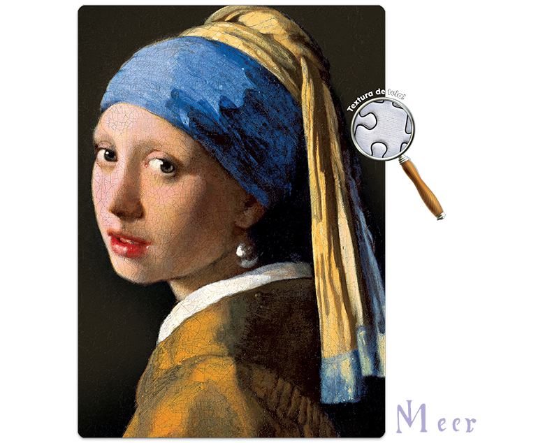 Quebra-Cabeça Johannes Vermeer - Moça Com Brinco De Pérola - 500 Peças Nano