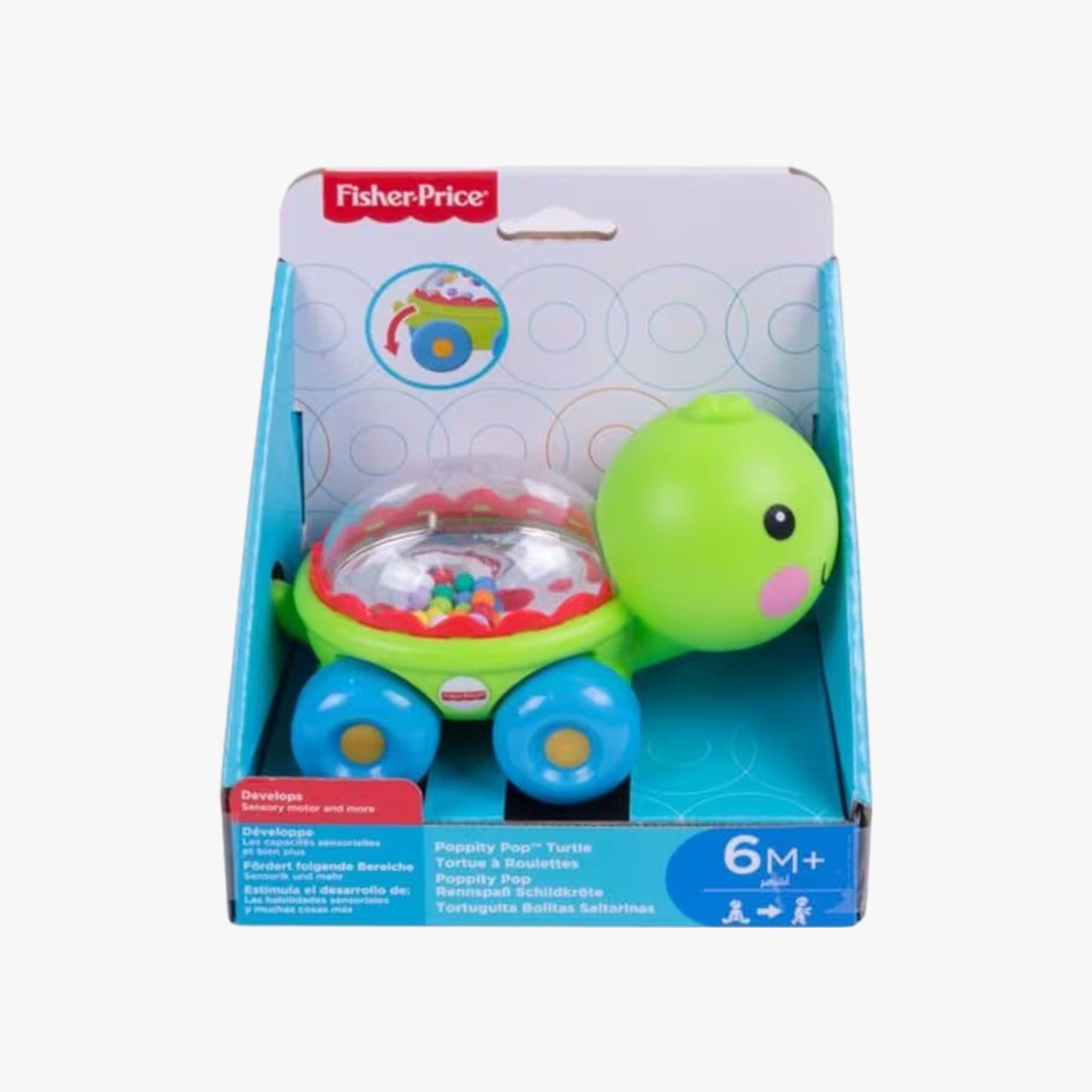 Brinquedo para Bebê Animais de Bolinhas Divertida - Tartaruga