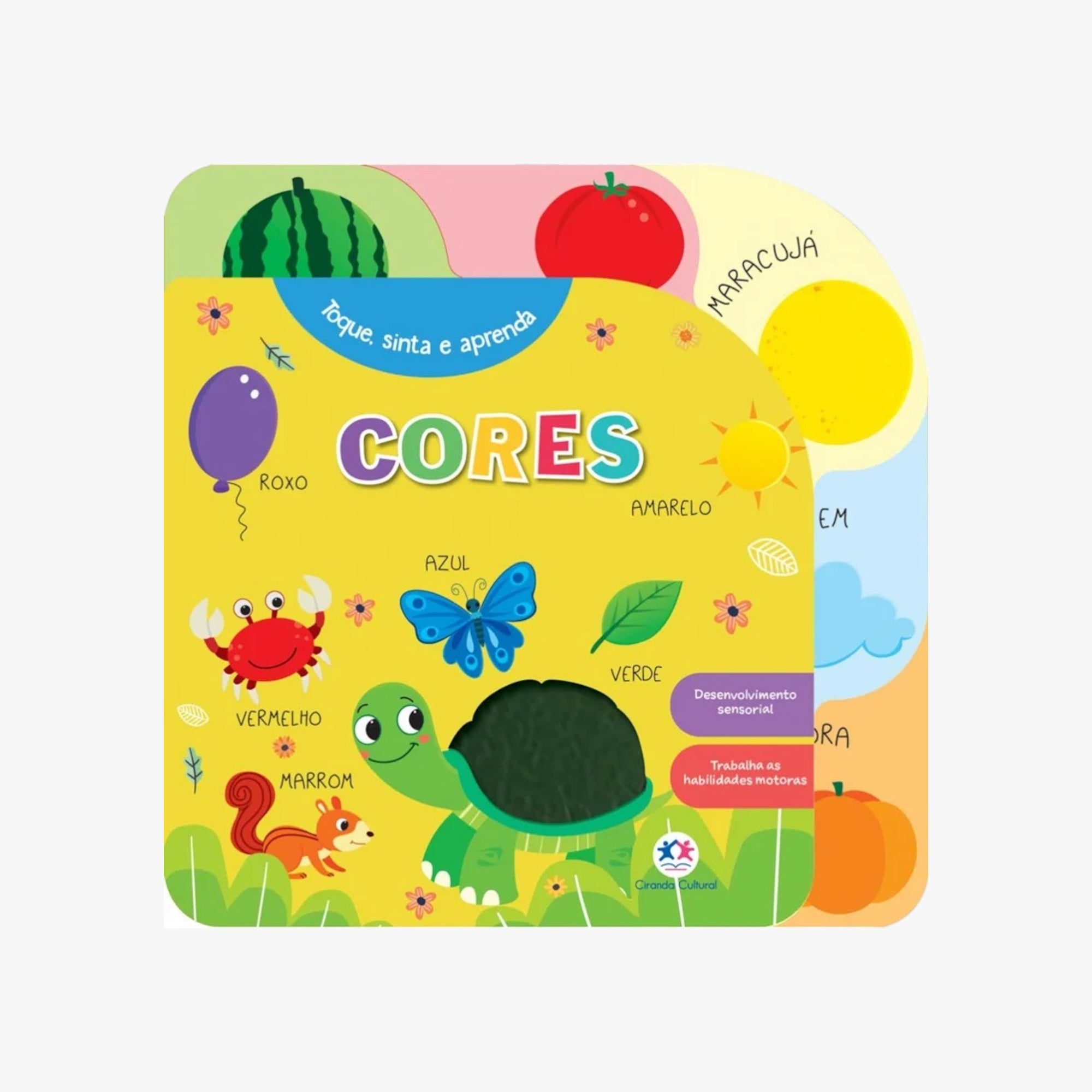 Livro Toque, sinta e aprenda Cores