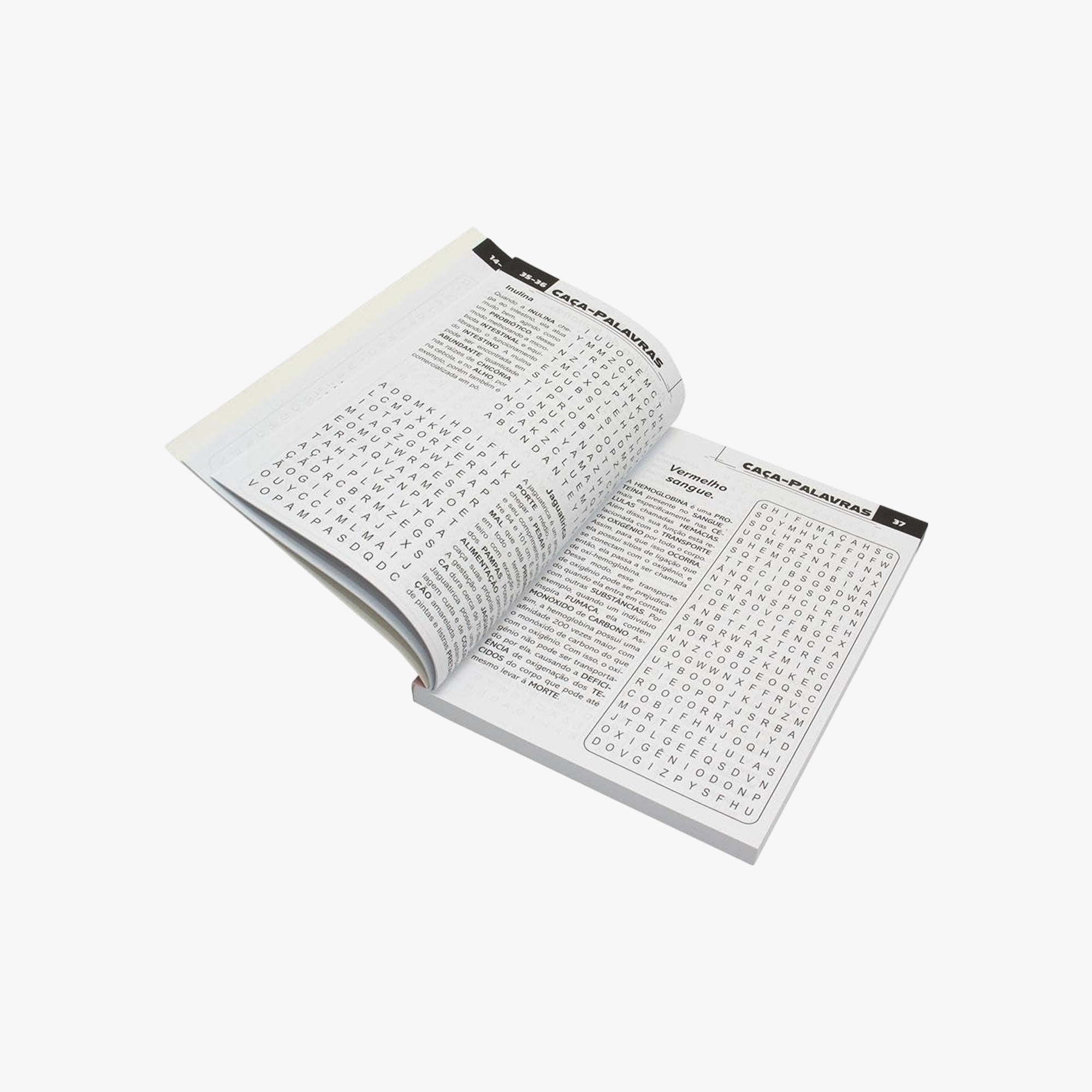 Livro Scottini 365 Caça-palavras N.11