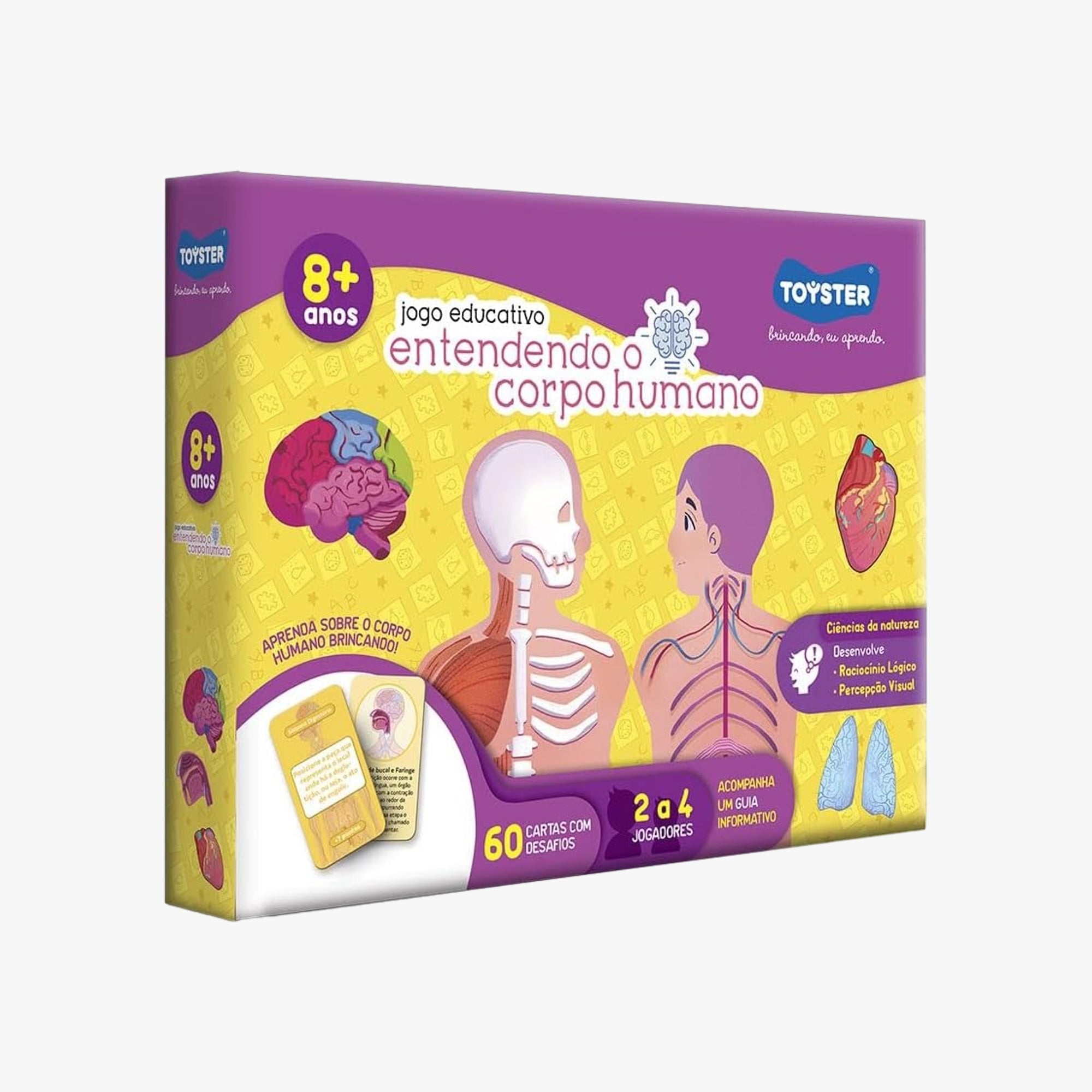 Jogo Educativo Entendendo o Corpo Humano
