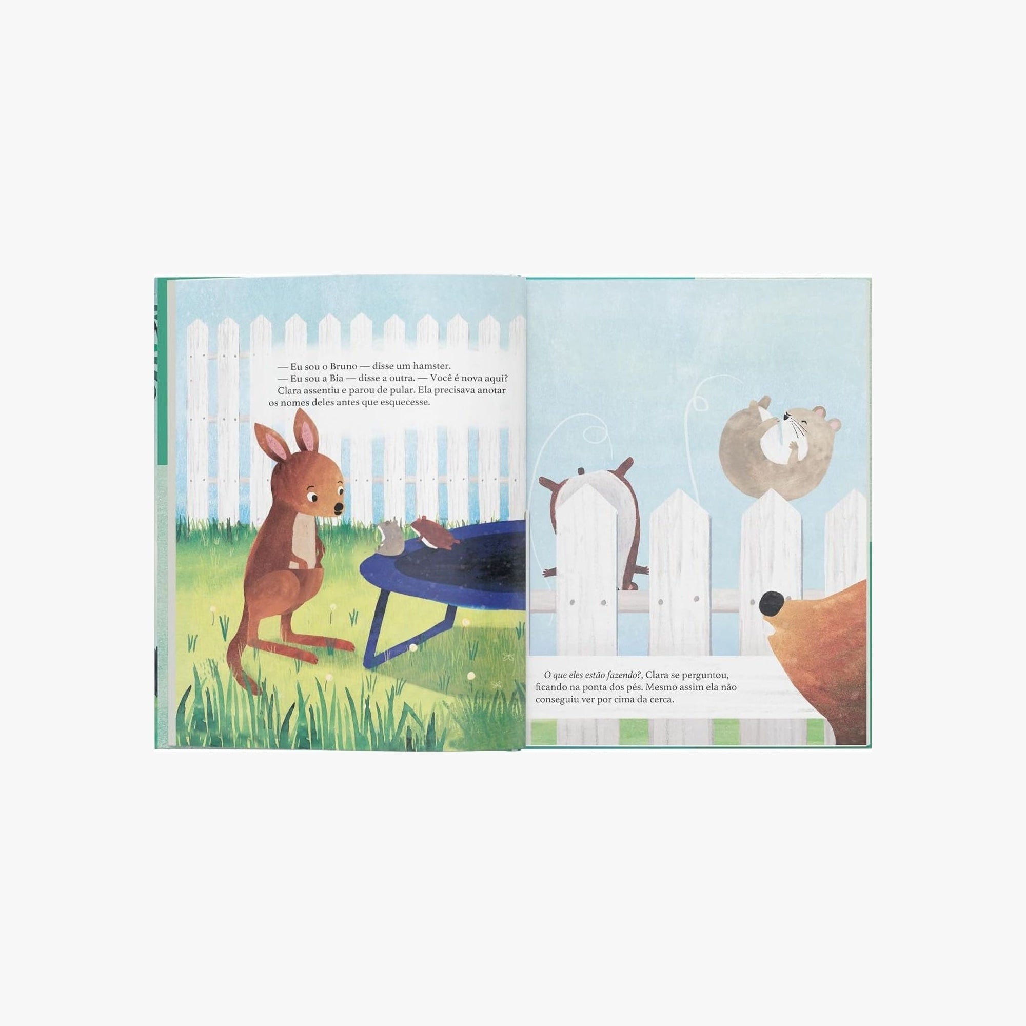 Livro Infantil Clara e o Caderno Perdido