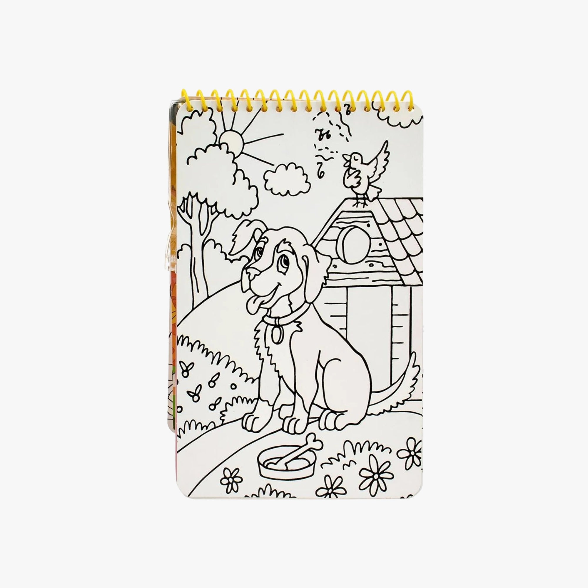 Livro Infantil Aquabook Animais de Estimação