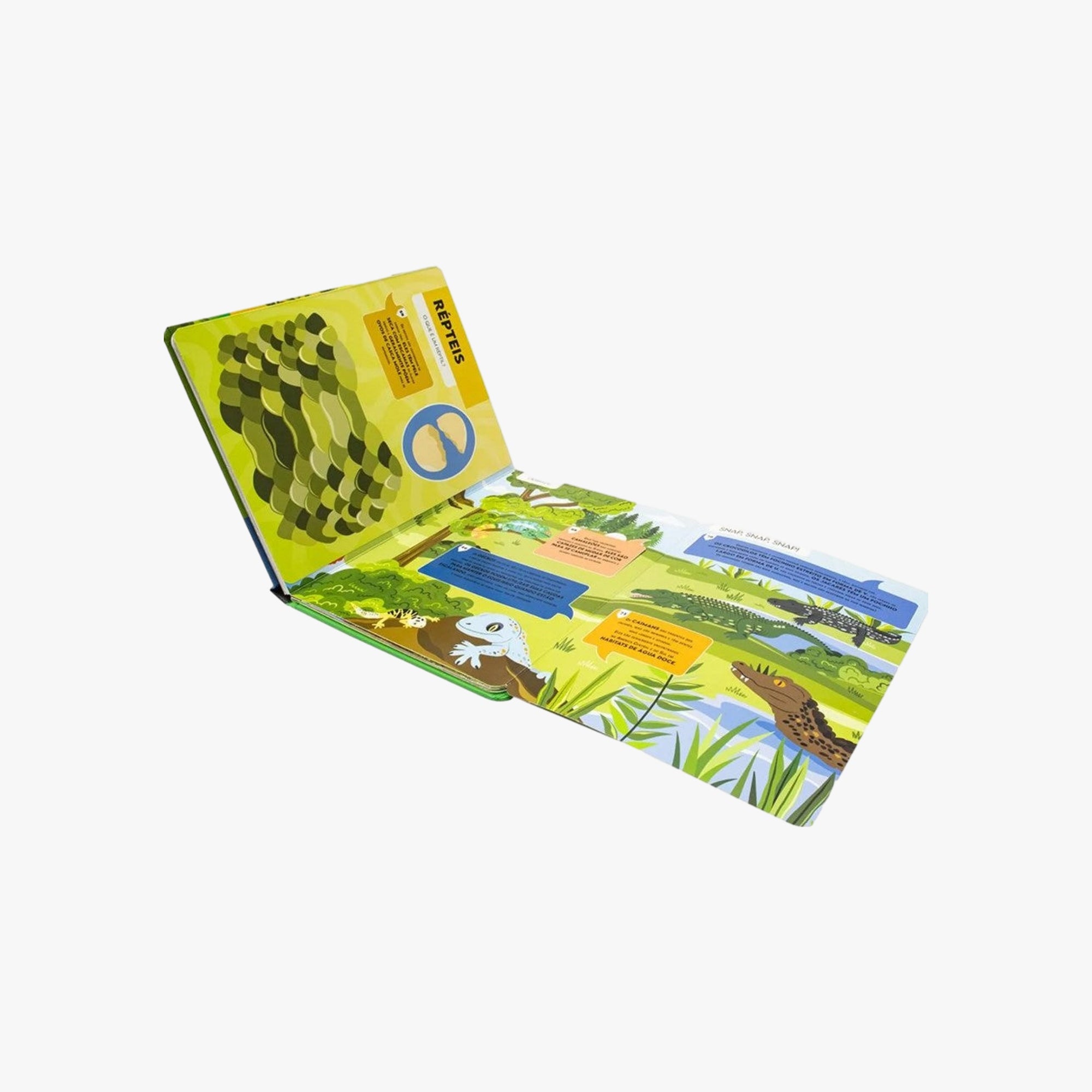 Livro Vamos Falar Sobre Reino Animal