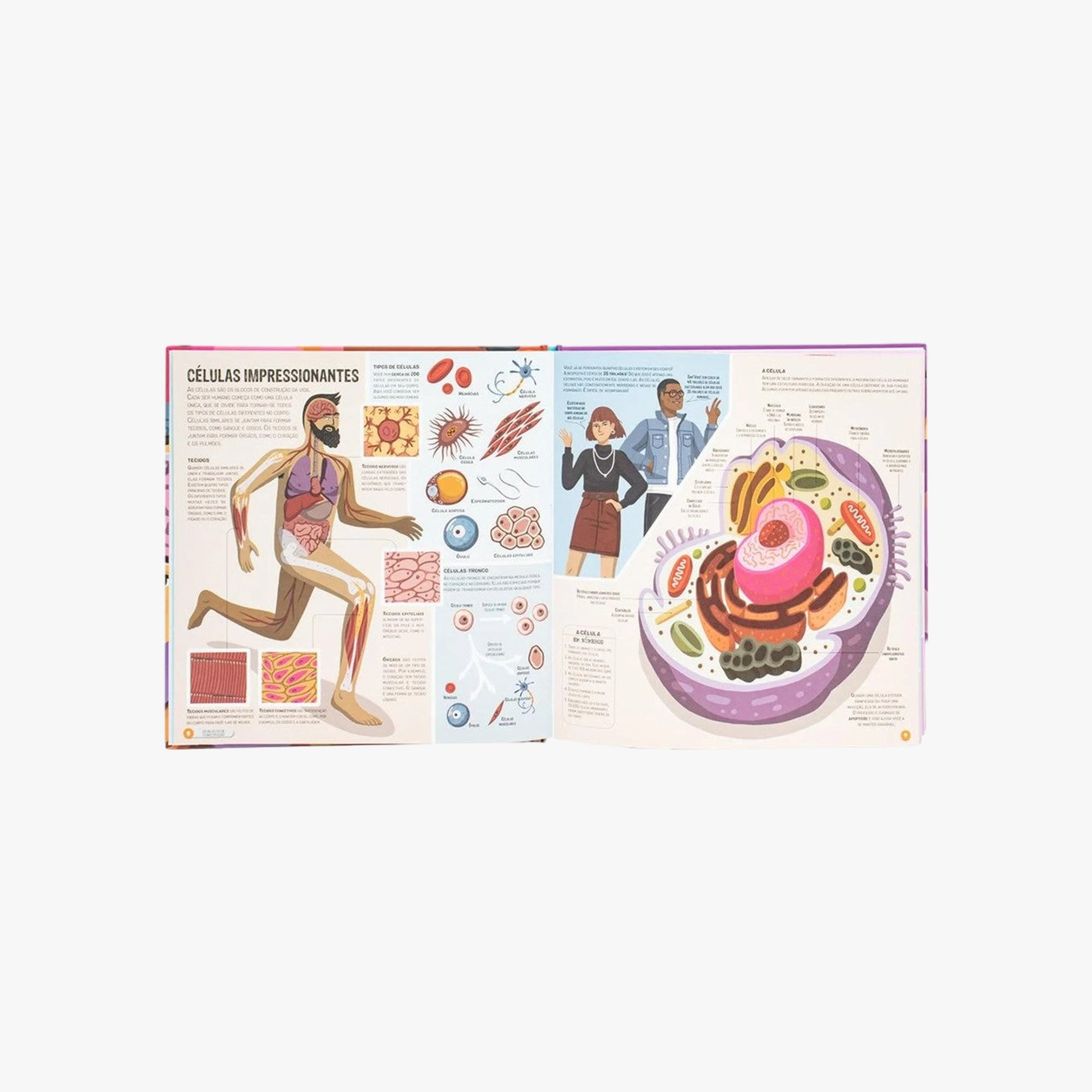 Livro Meu Incrível Atlas Corpo Humano