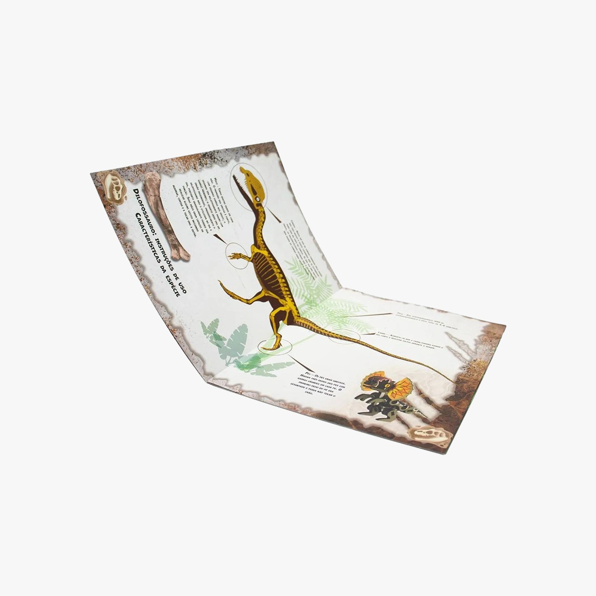 Livro Monte Seu Dino Dilofossauro