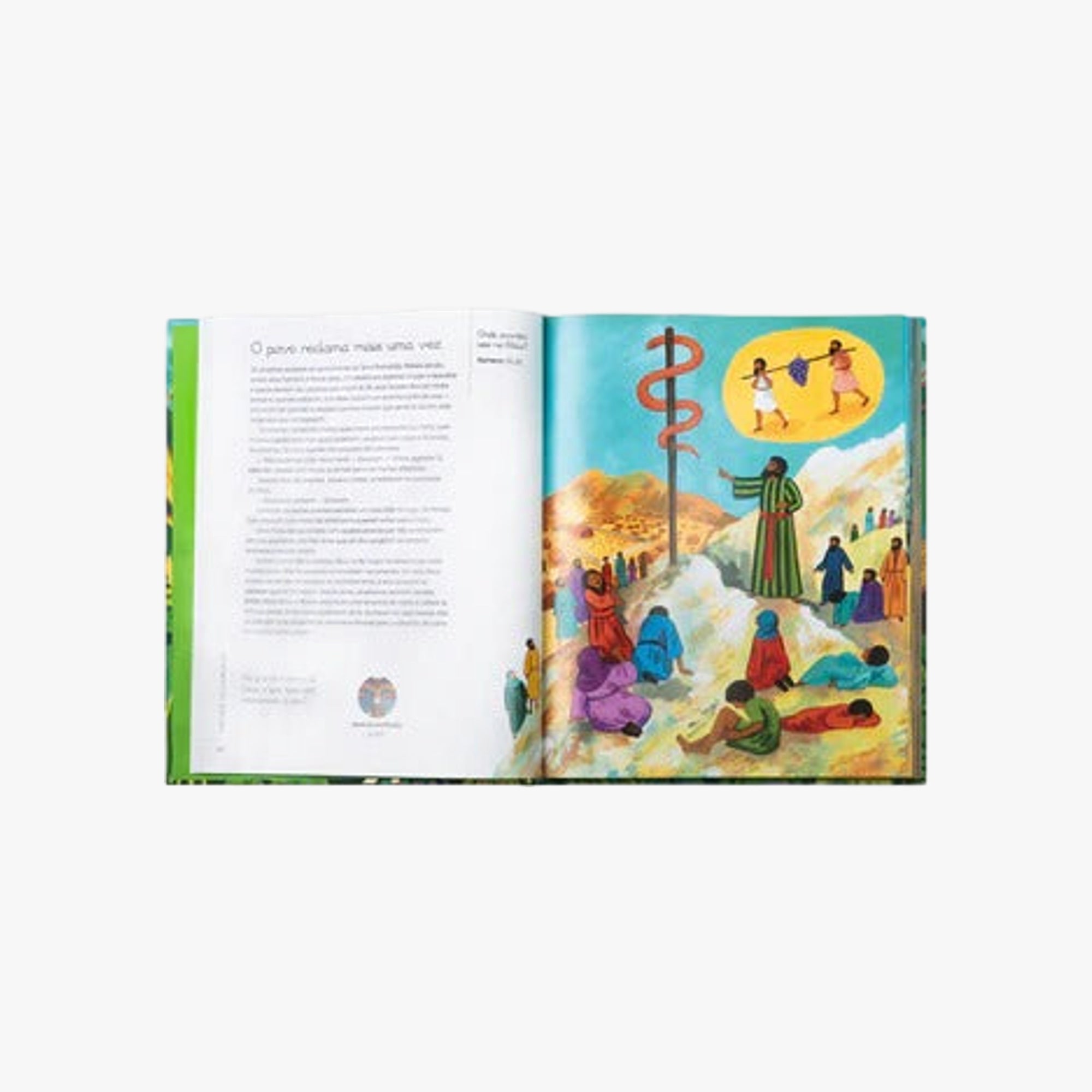 Livro A grande história da Bíblia