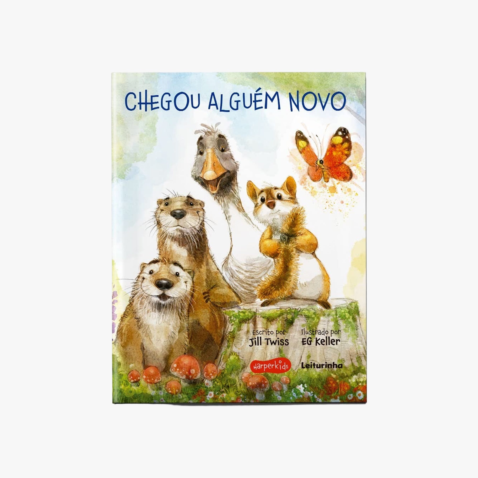 Livro Infantil Chegou Alguém Novo