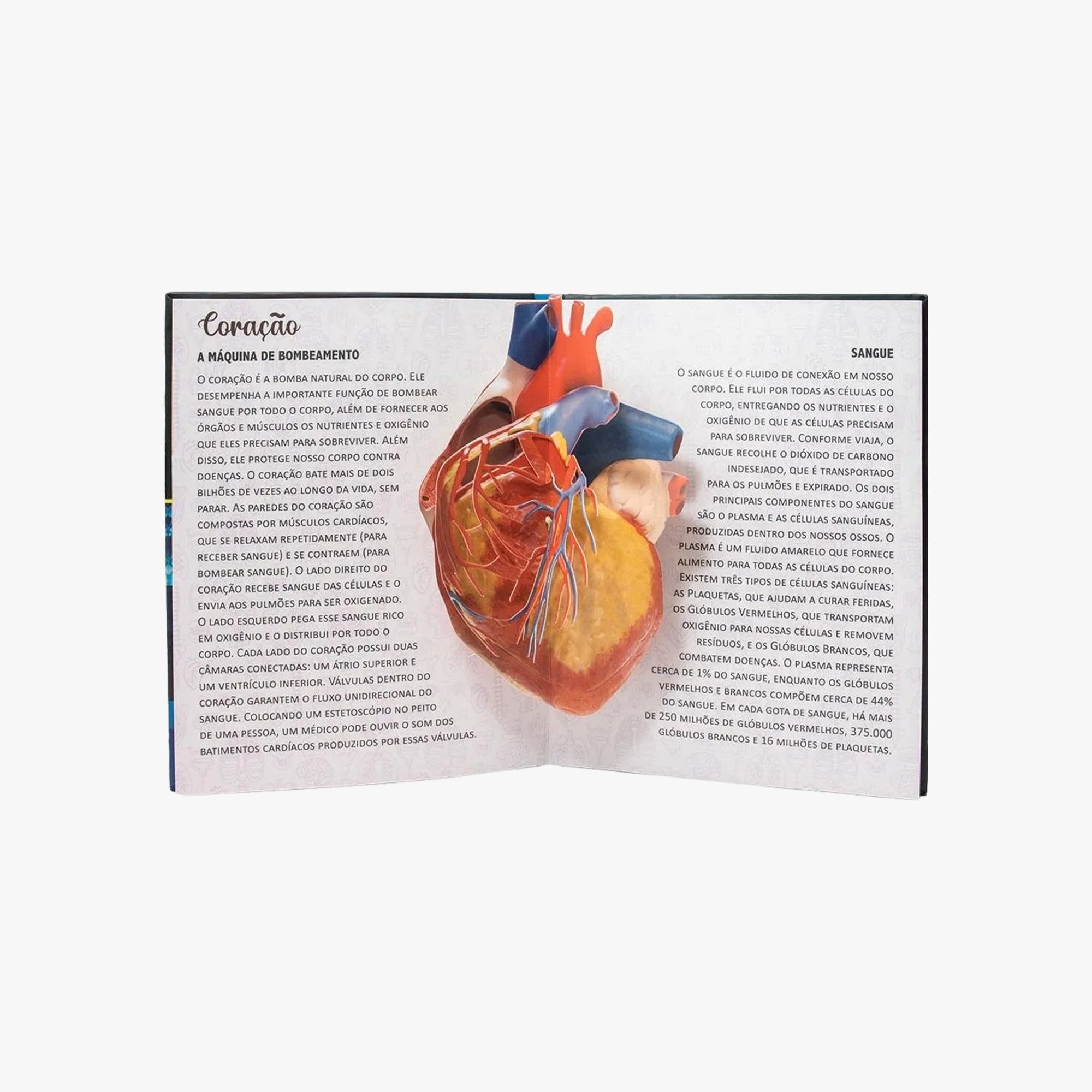 Livro POP-UPS: Descubra o Corpo Humano