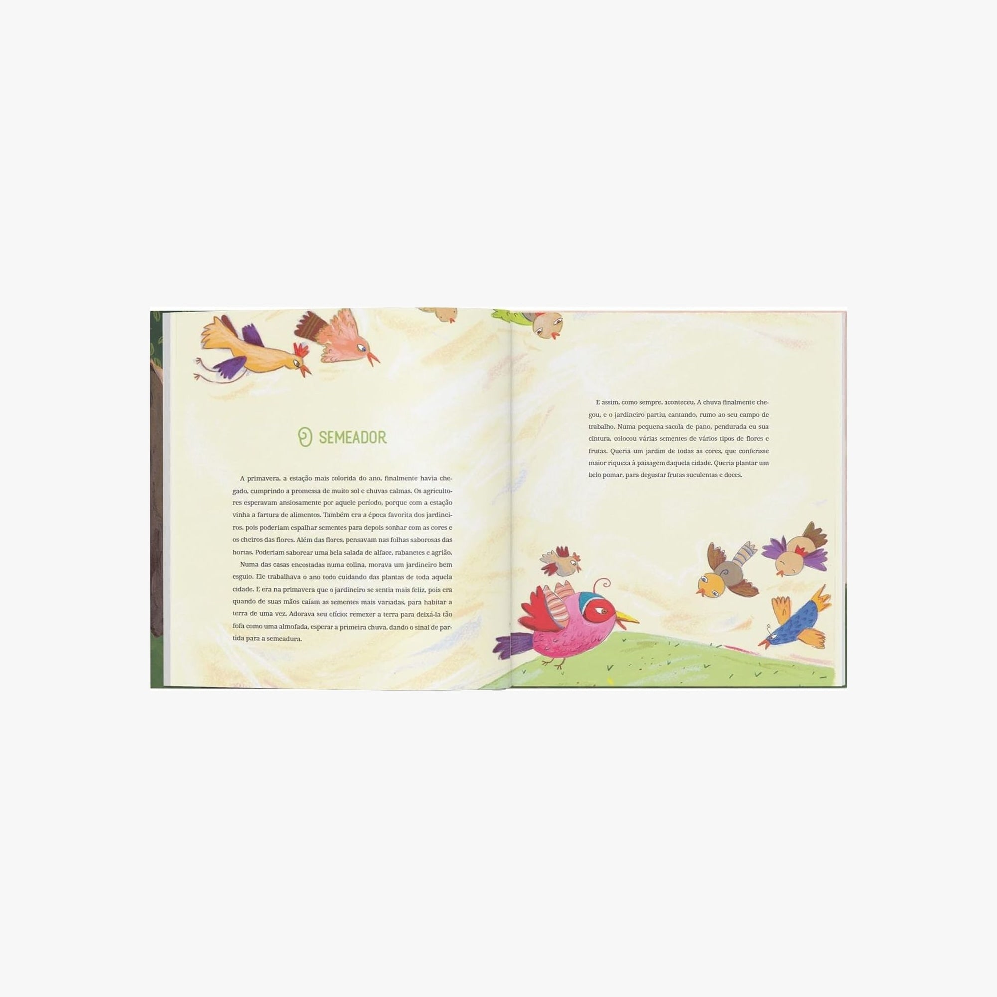 Livro O príncipe Contador de Histórias