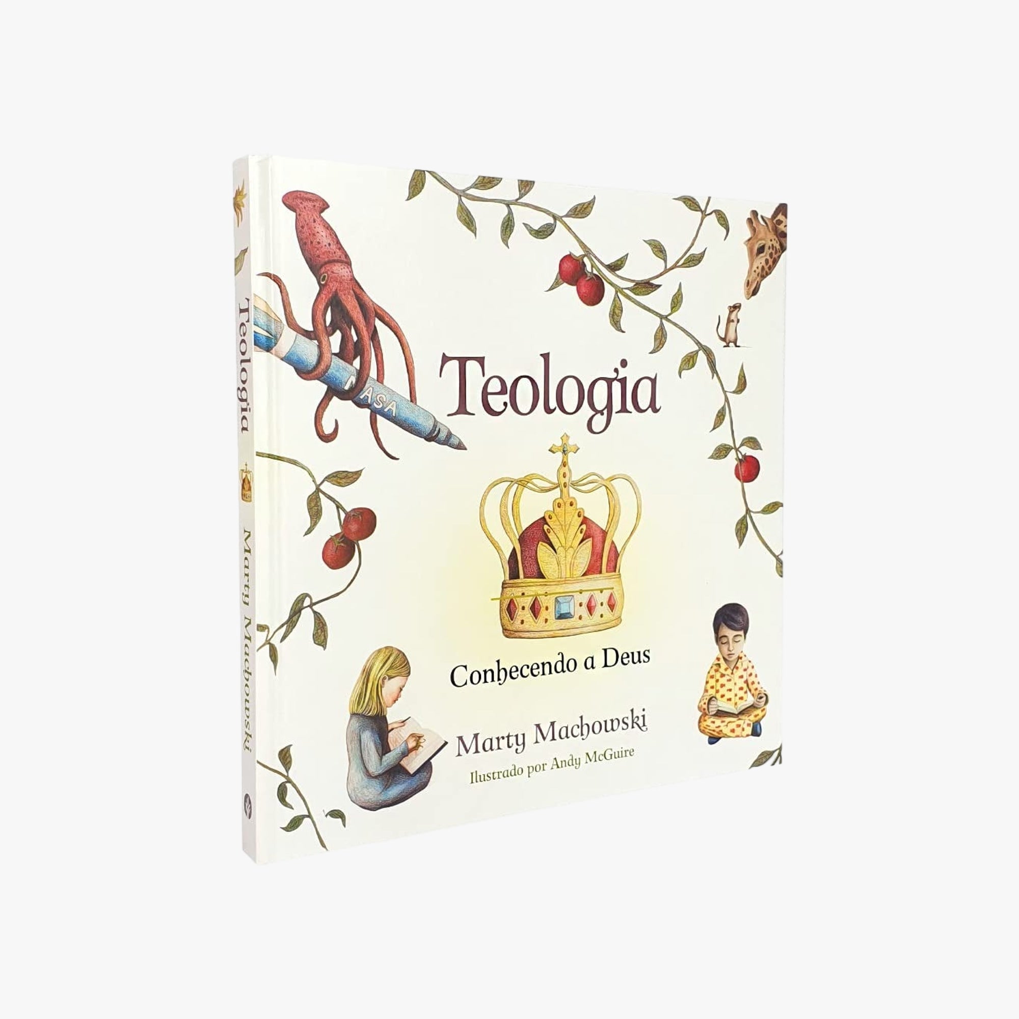 Livro Teologia Conhecendo a Deus