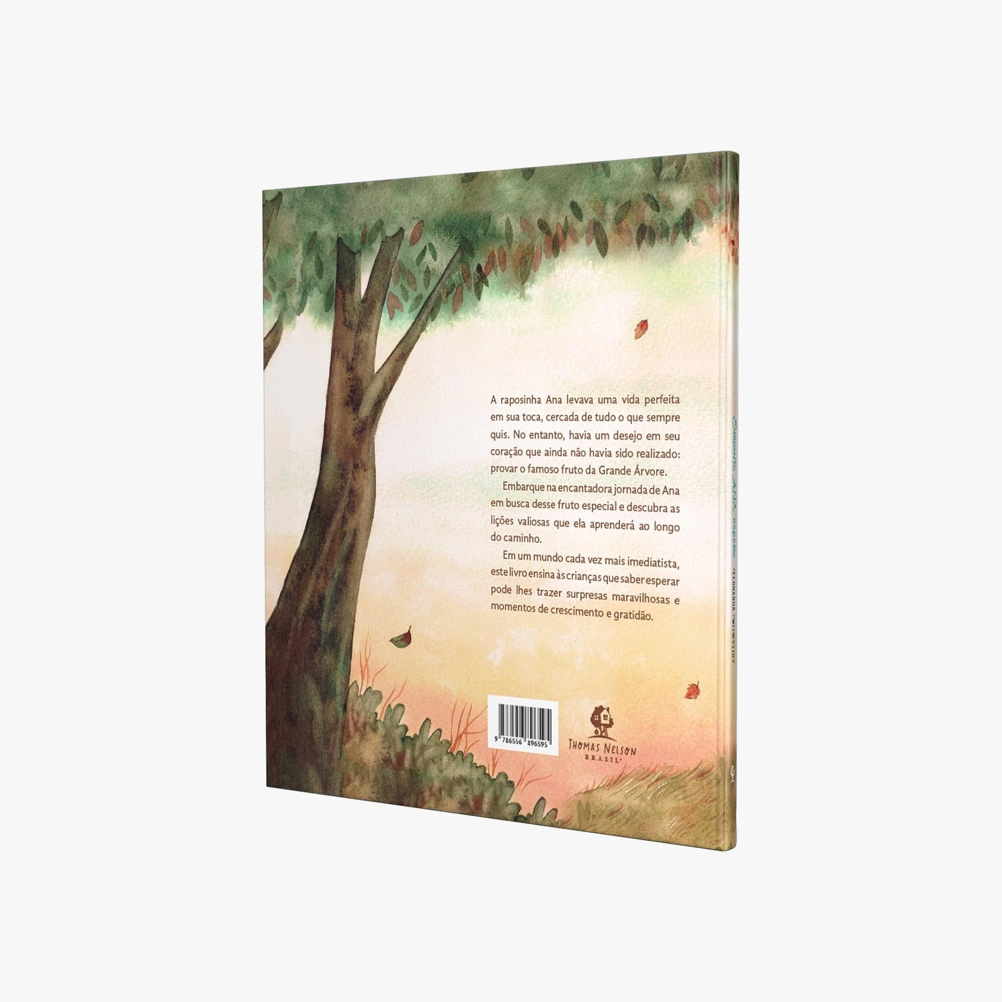 Livro Infantil Enquanto Ana Espera