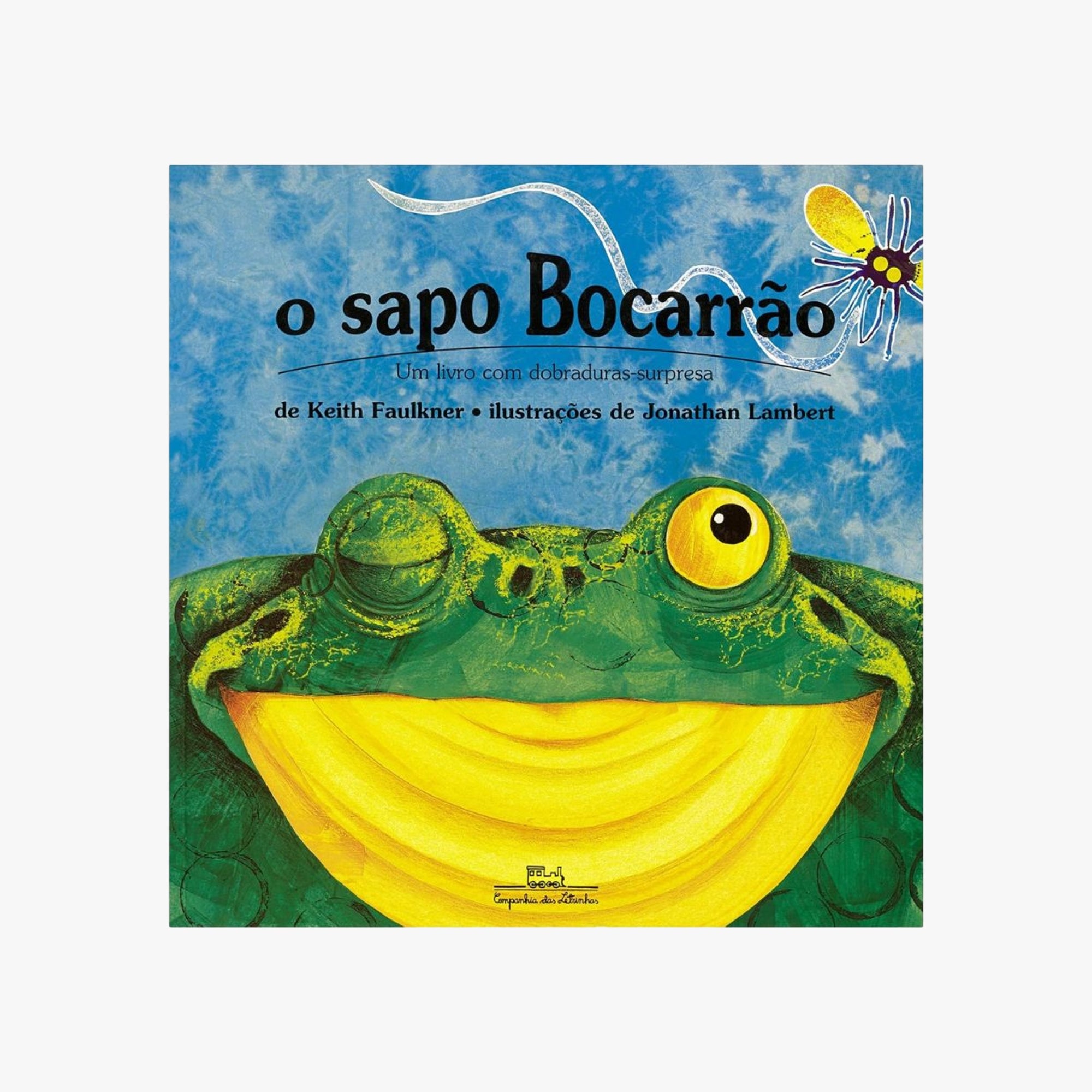 Livro Infantil O sapo bocarrão