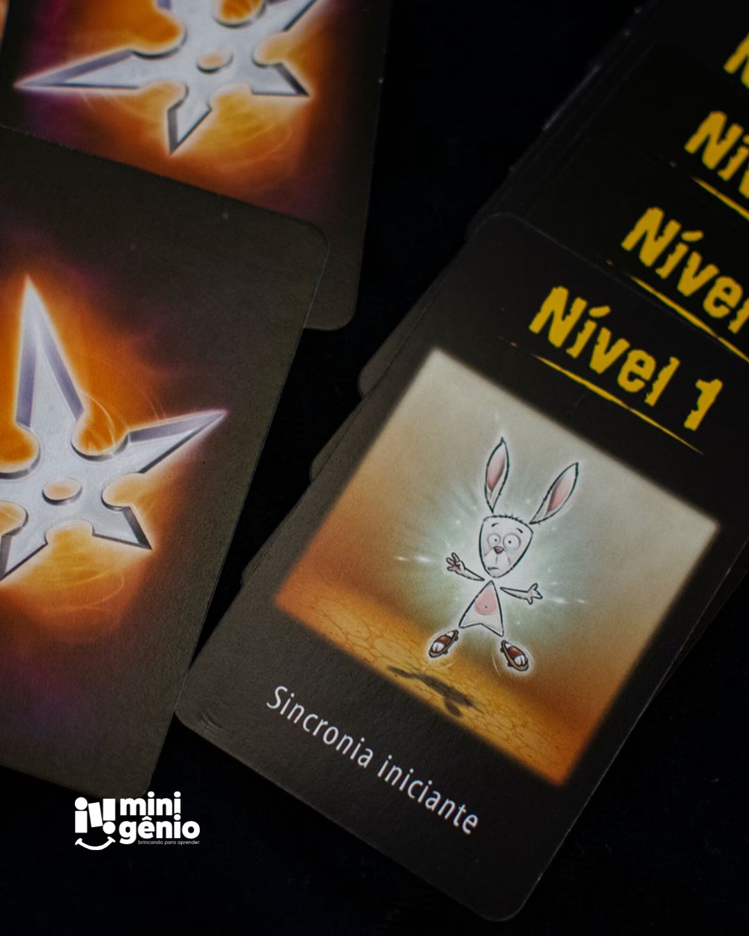 Jogo de Cartas The Mind - Galápagos