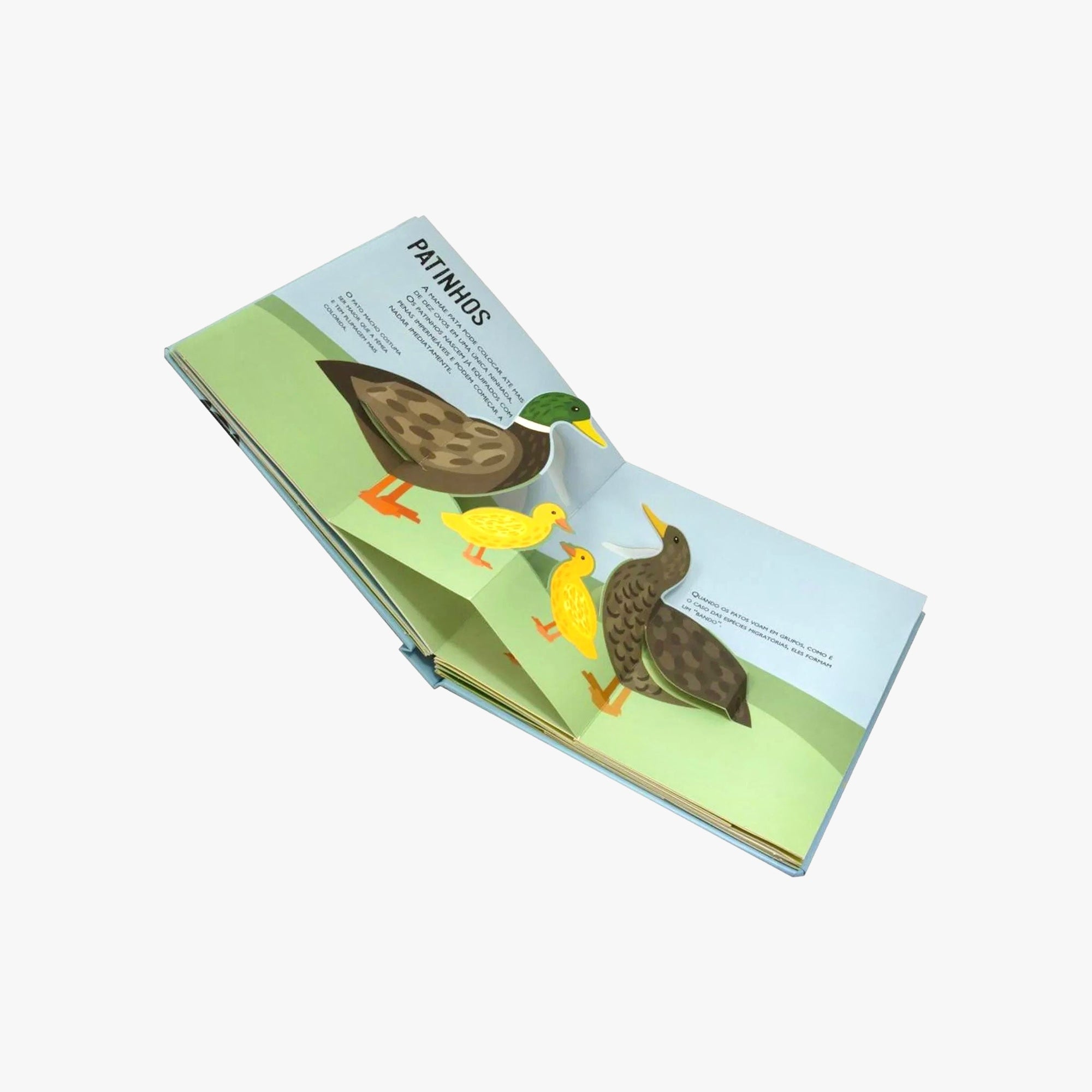 Livro Infantil Filhotes de Animais Pop Ups