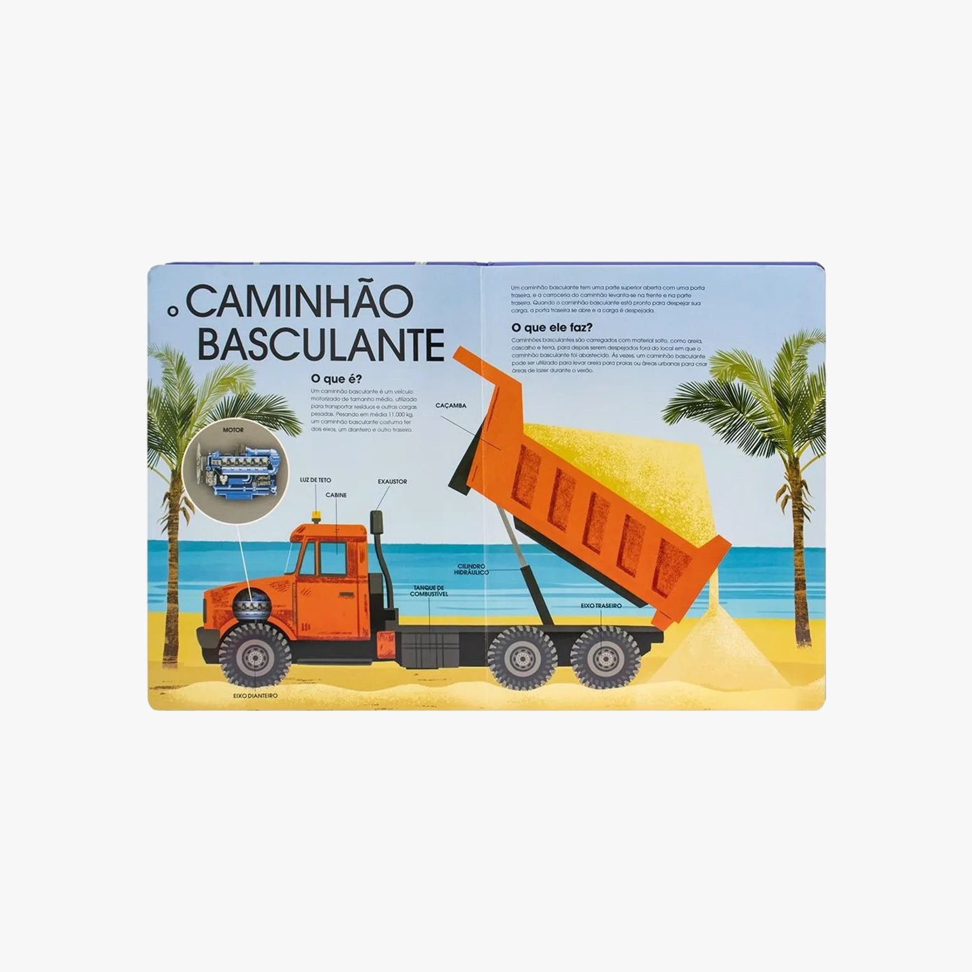 Livro Infantil Meu Grande Livro de Veículos
