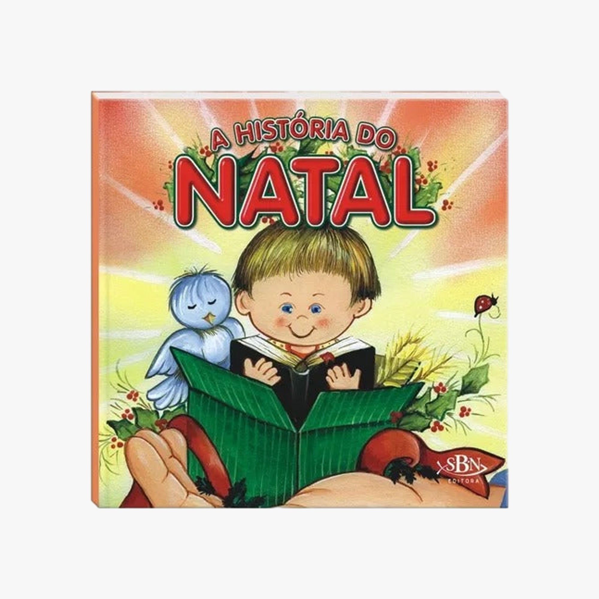 Livro Infantil A História do Natal