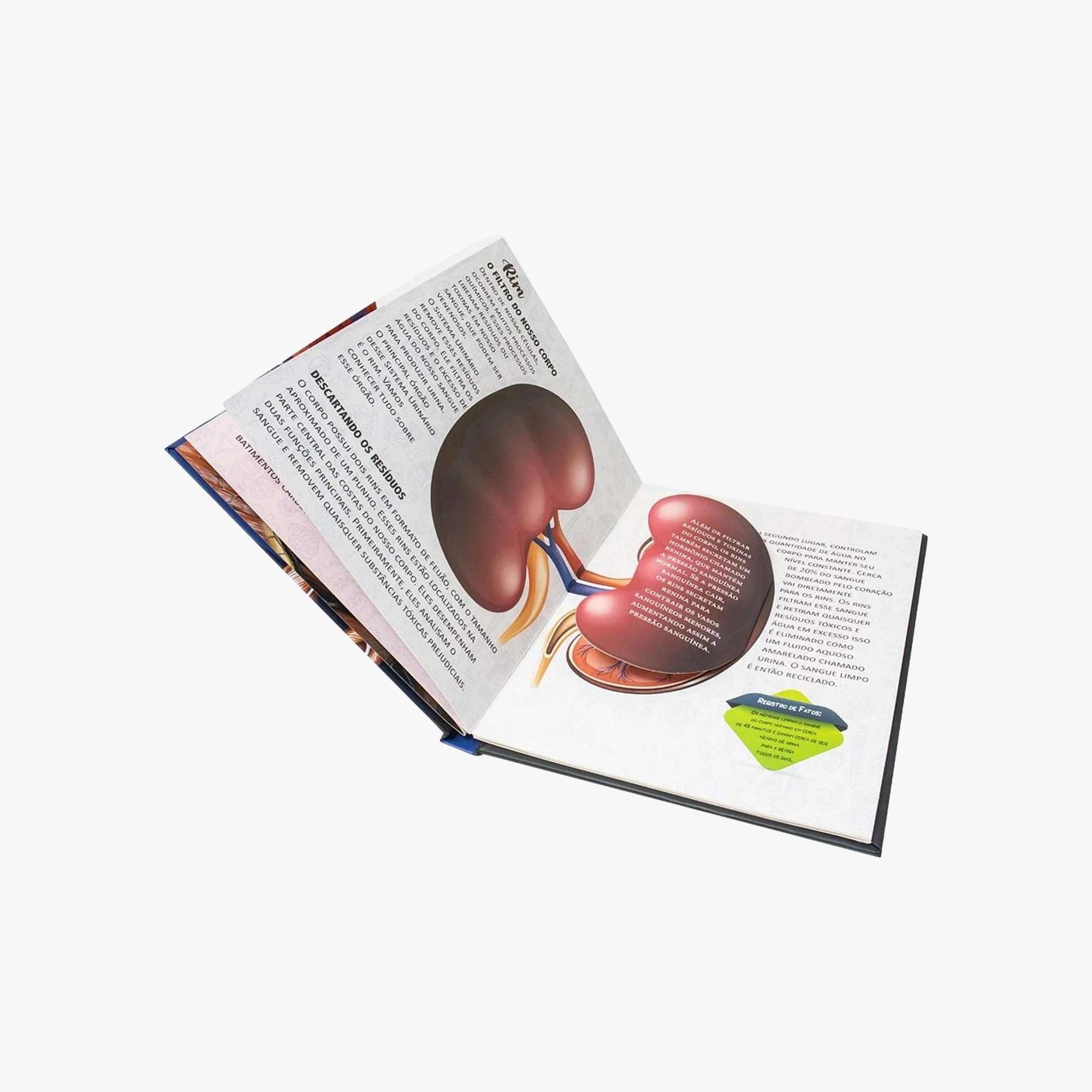 Livro POP-UPS: Descubra o Corpo Humano