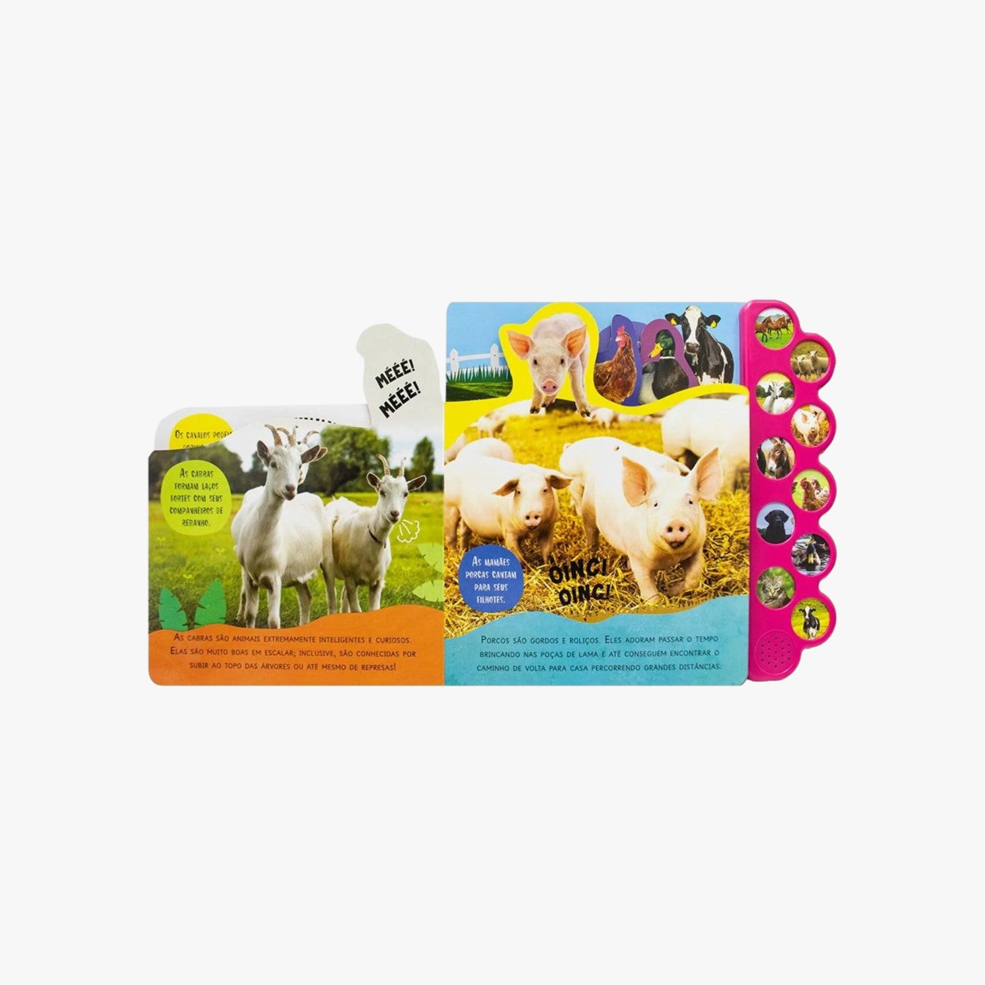 Detalhe dos 10 botões sonoros do livro infantil Fazenda com ícones dos animais