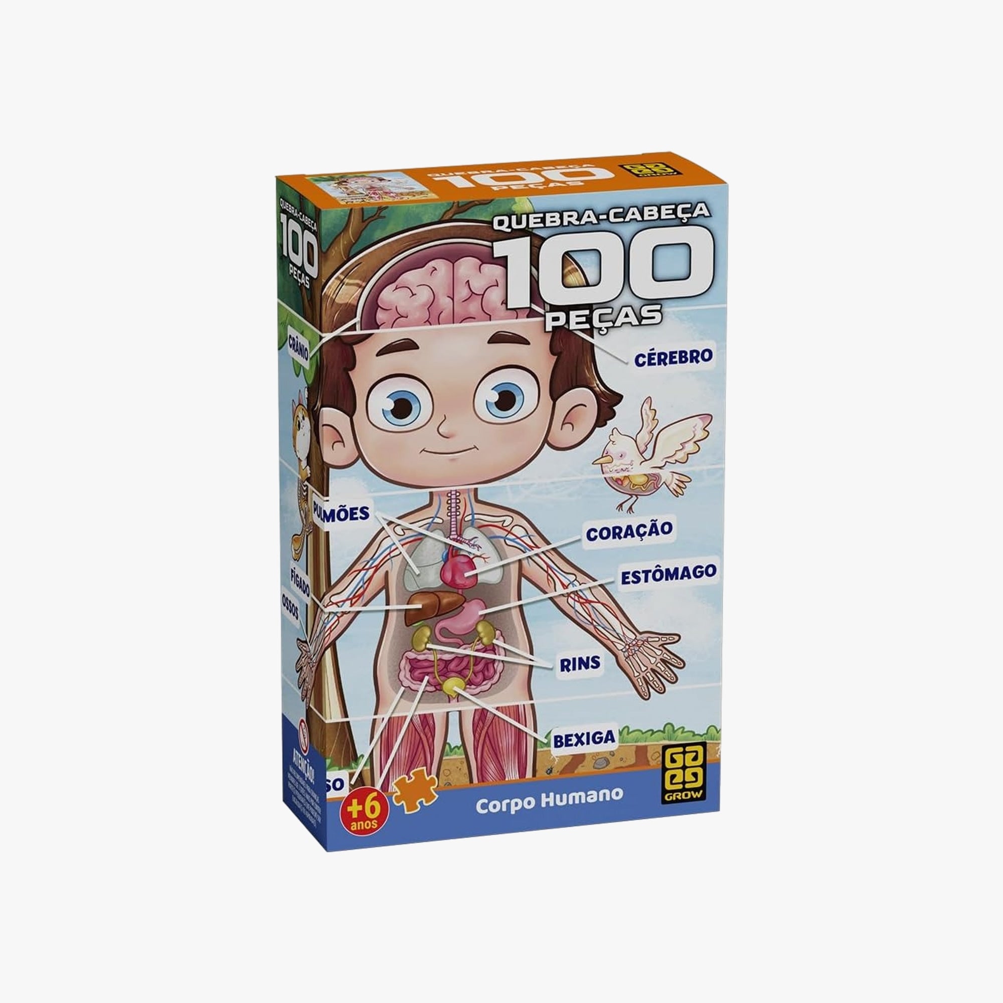 Quebra-Cabeça Infantil Corpo Humano 100 Peças