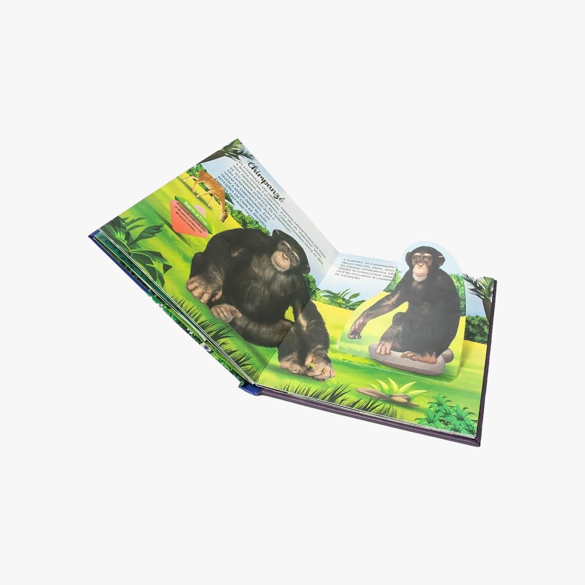 Livro POP-UPS: Descubra os Animais