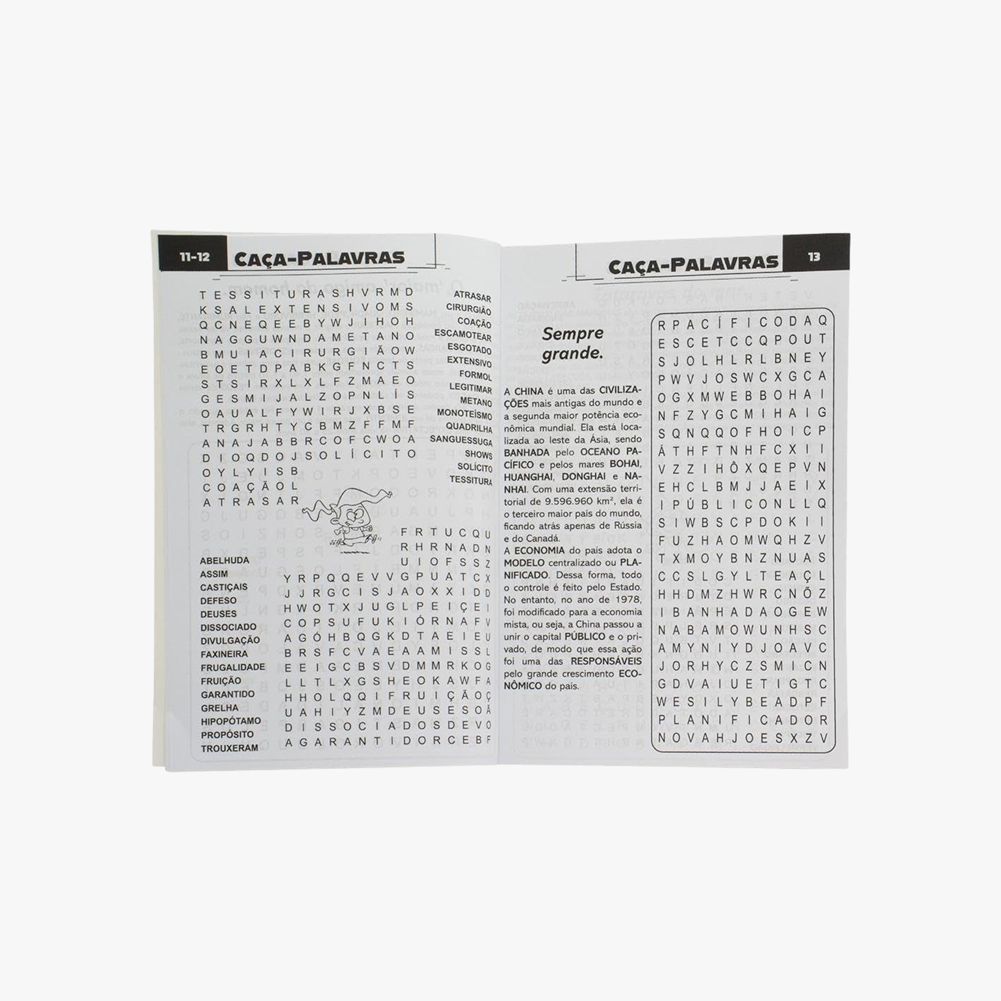 Livro Scottini 365 Caça-palavras N.11
