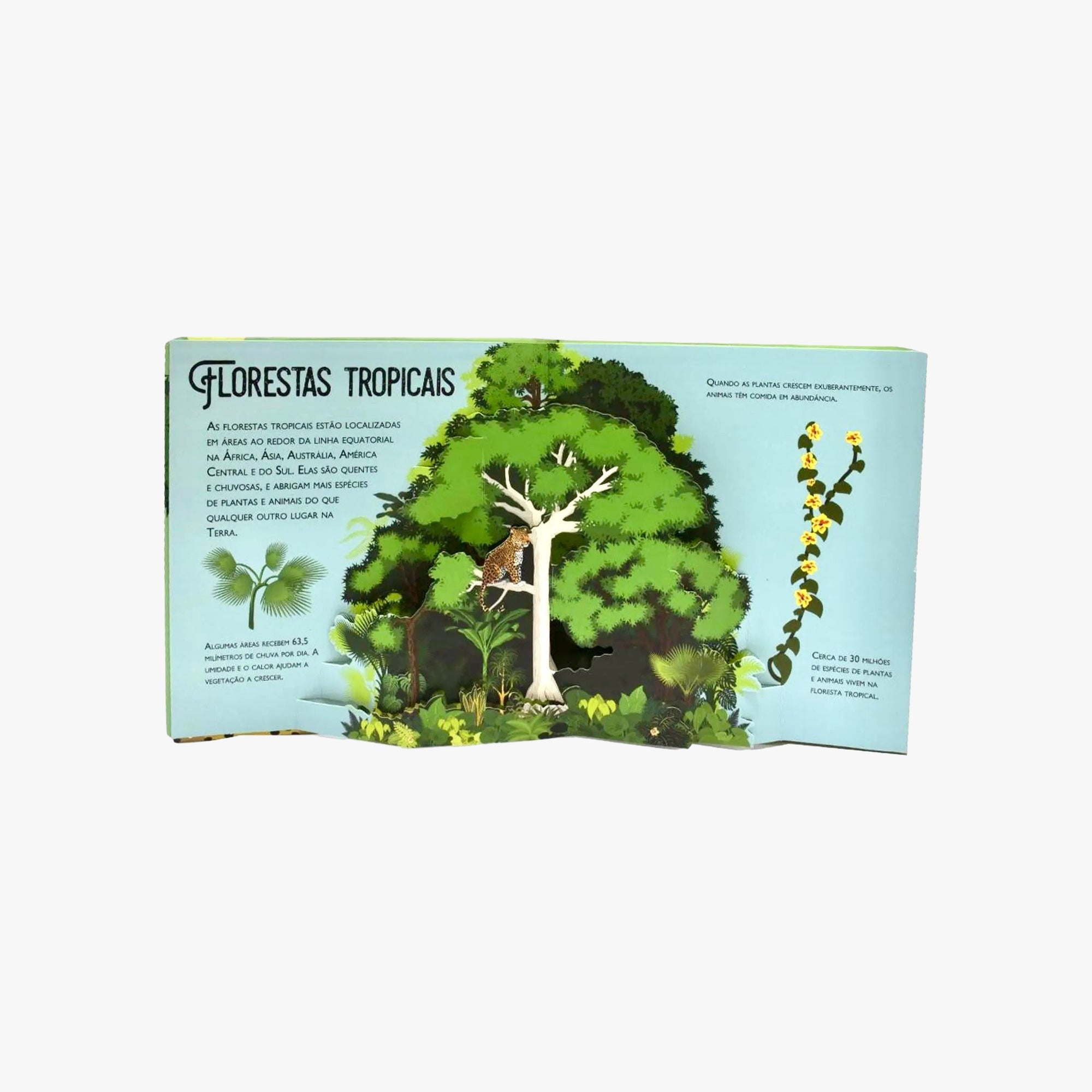 Livro Infantil Floresta Tropical Pop Ups