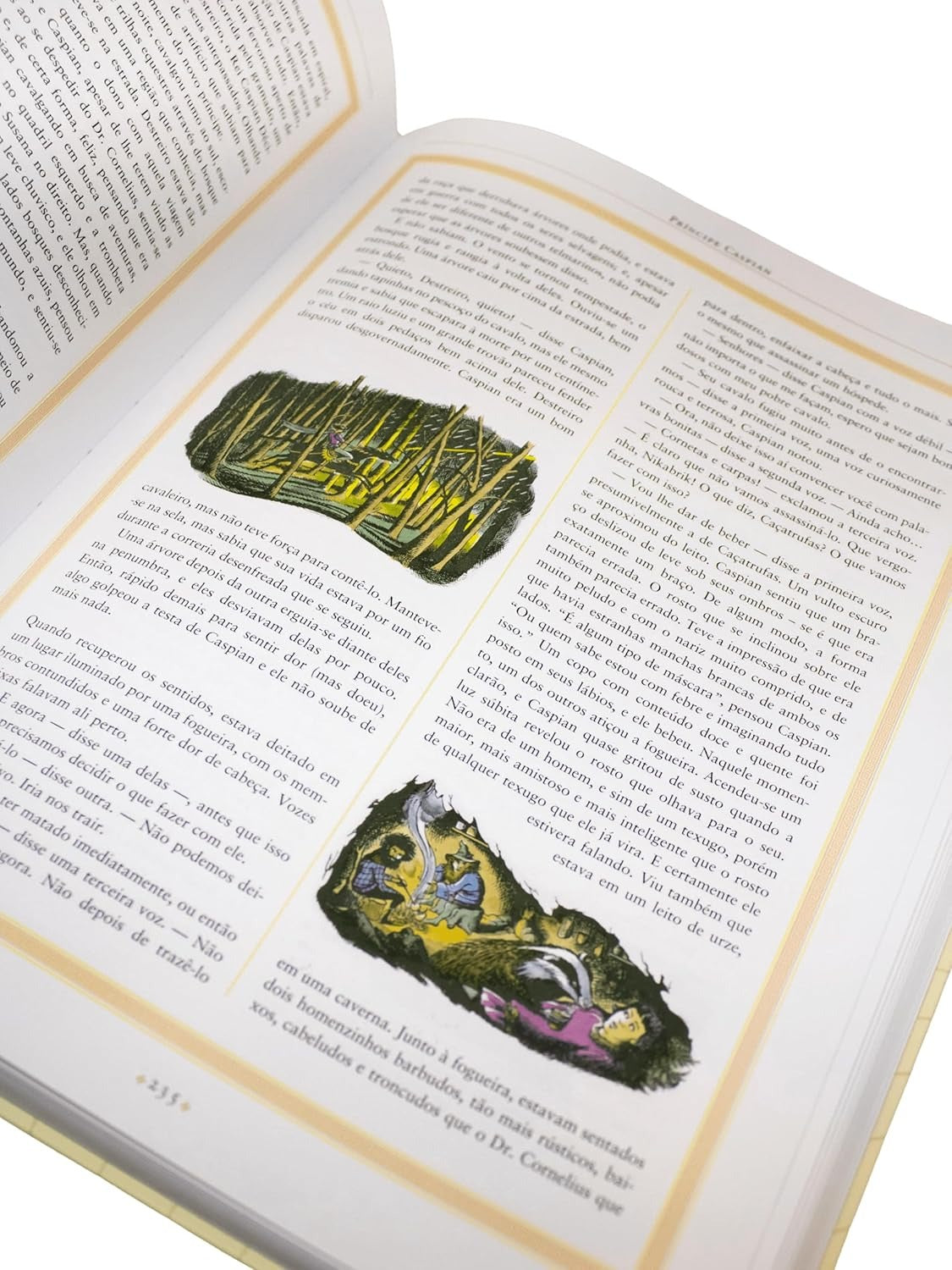 Livro As Crônicas de Nárnia Capa Dura e Ilustrado