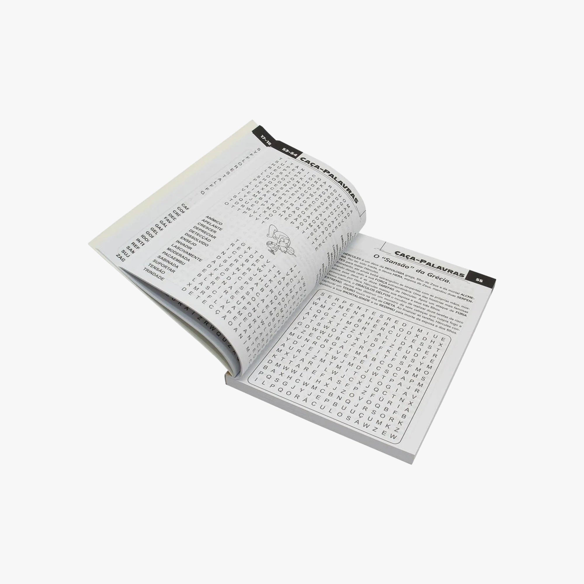 Livro Scottini 365 Caça-palavras N.9