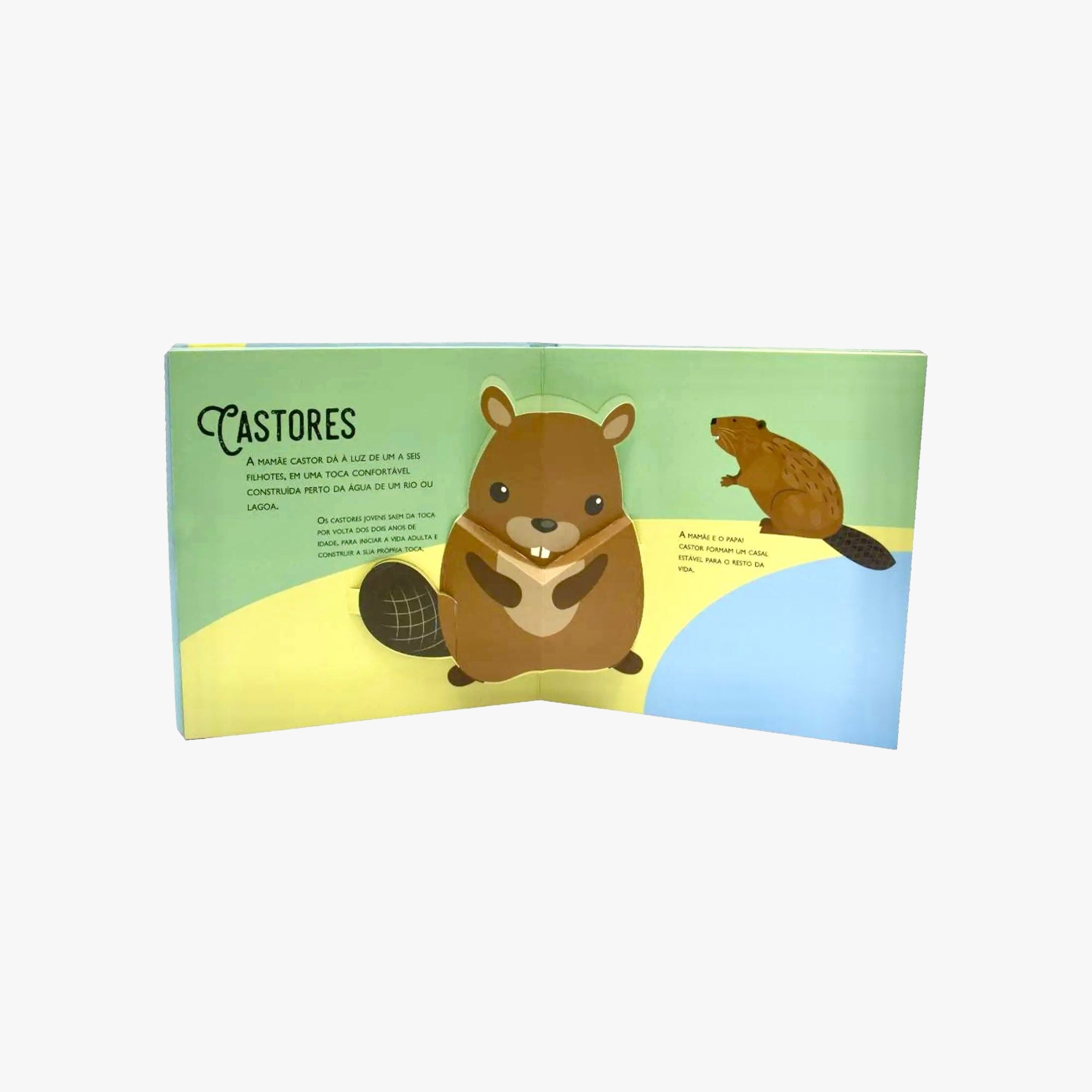 Livro Infantil Filhotes de Animais Pop Ups