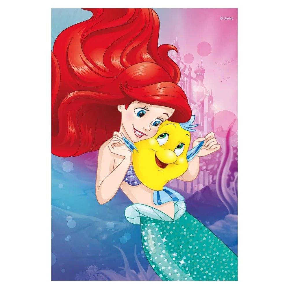 Quebra-Cabeça Infantil Progressivo das Princesas