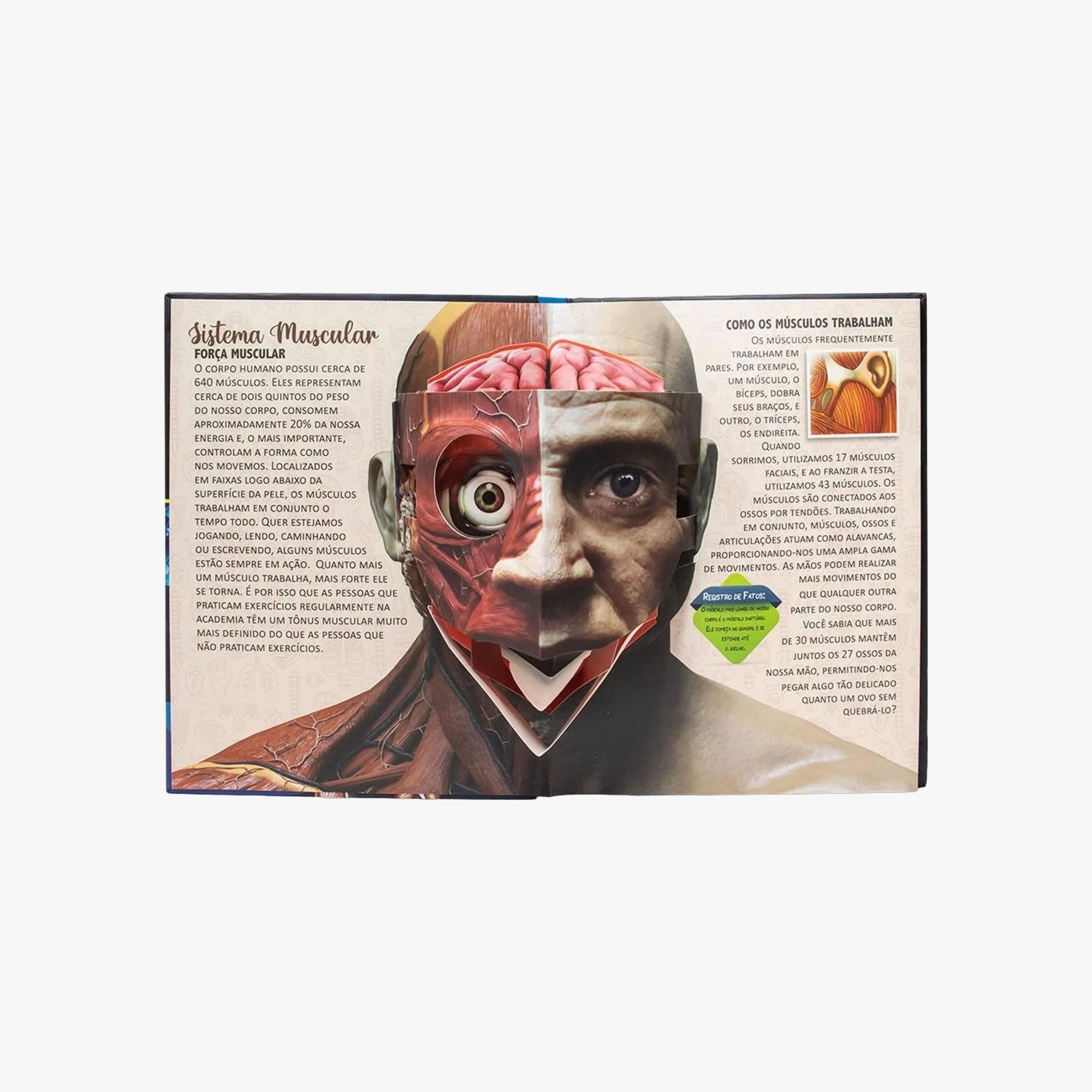 Livro POP-UPS: Descubra o Corpo Humano