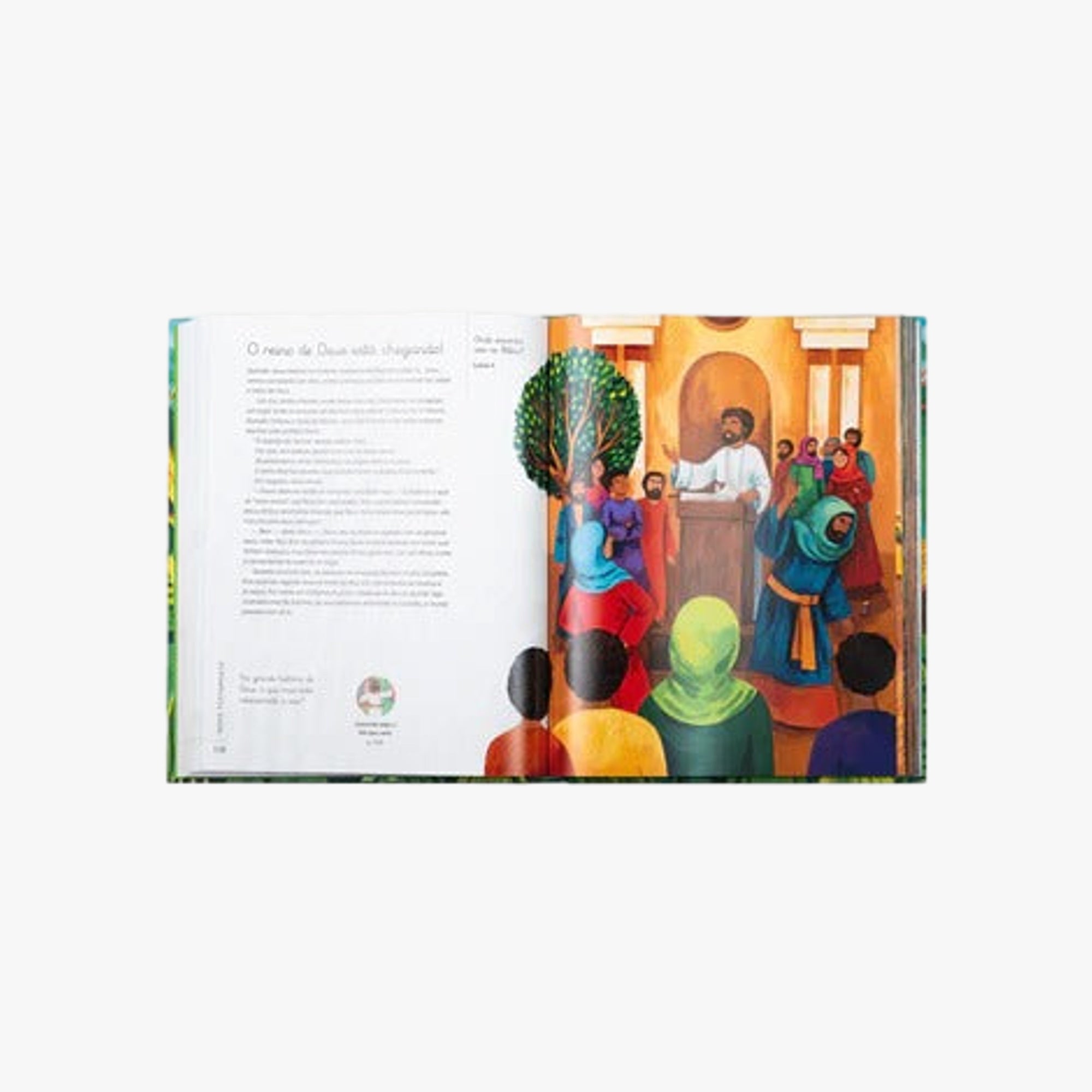 Livro A grande história da Bíblia