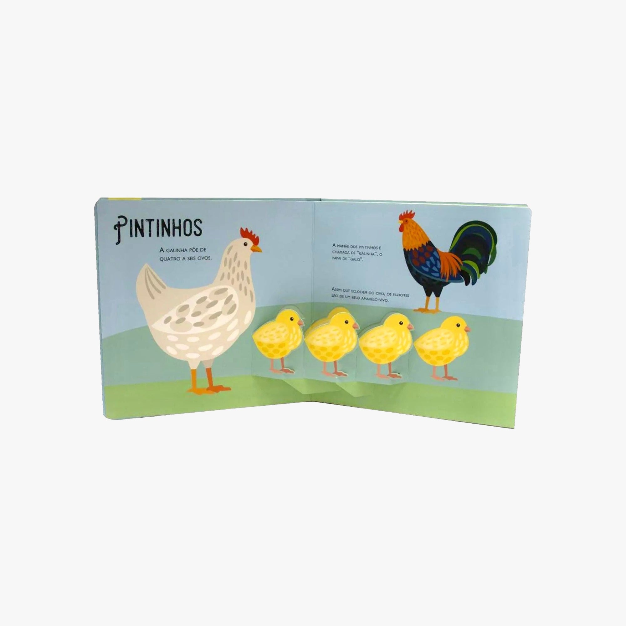 Livro Infantil Filhotes de Animais Pop Ups