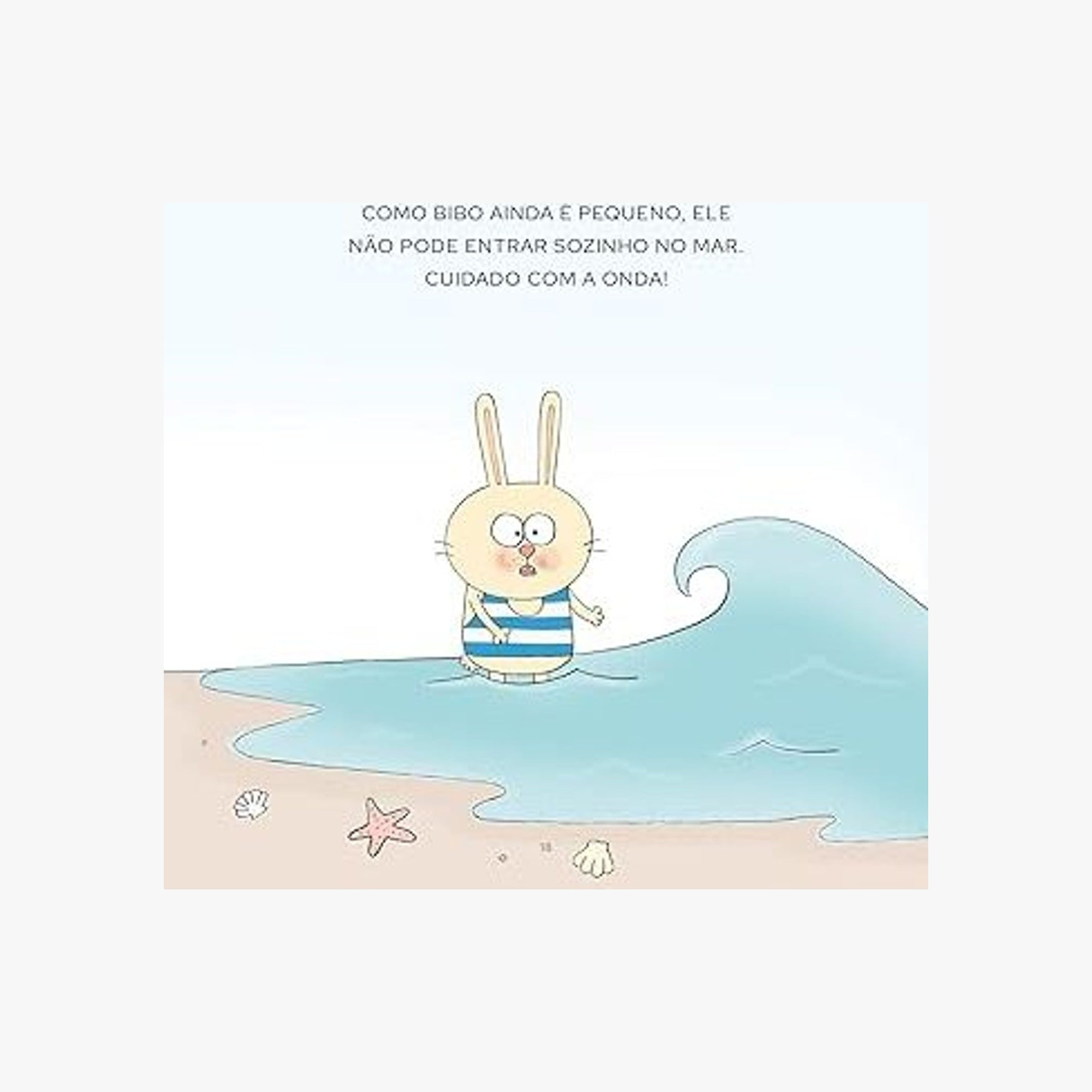 Livro Bibo na Praia