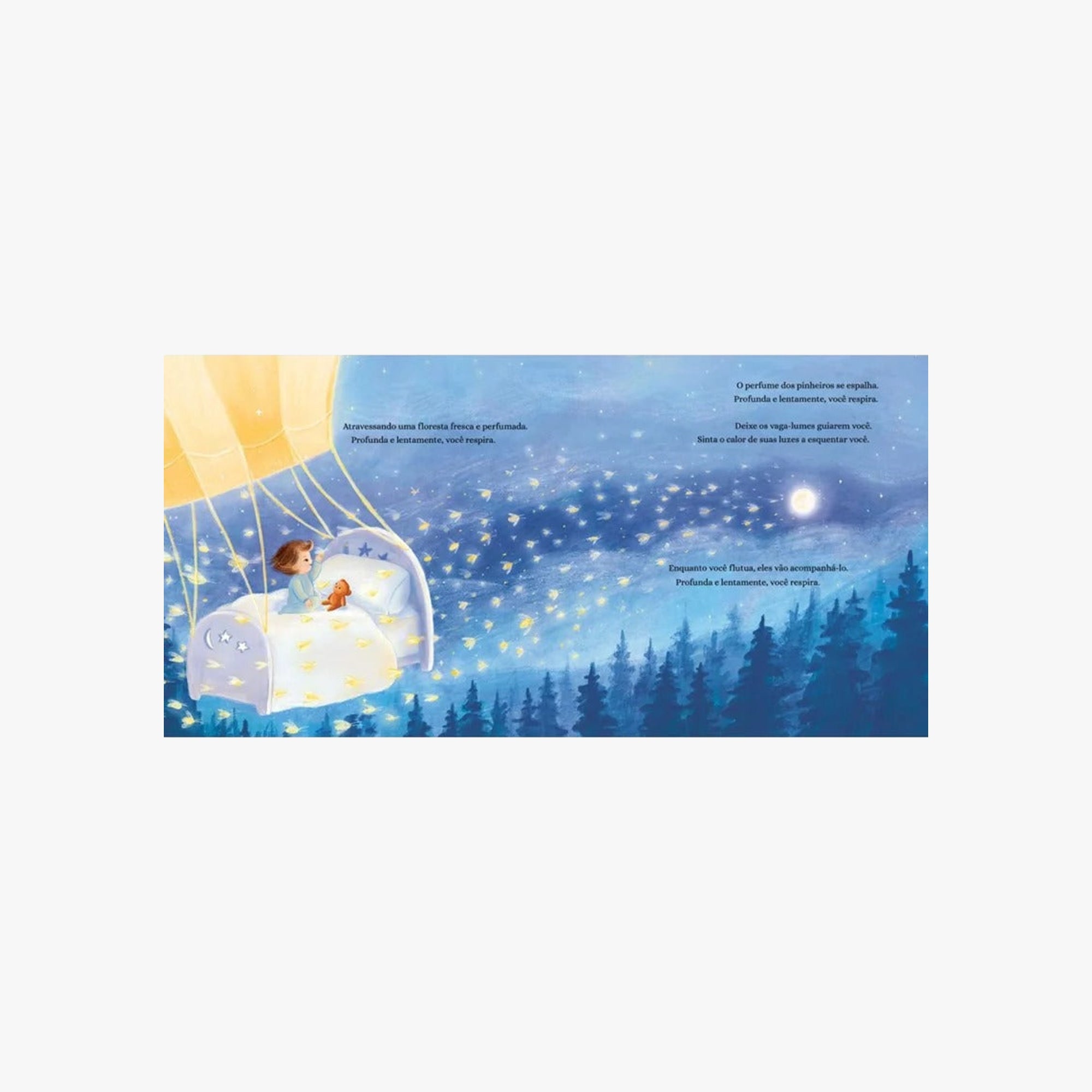 Livro Um Balão Flutua Até a Lua