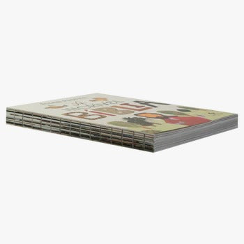 Livro A incrível Bíblia com 45 histórias ilustradas