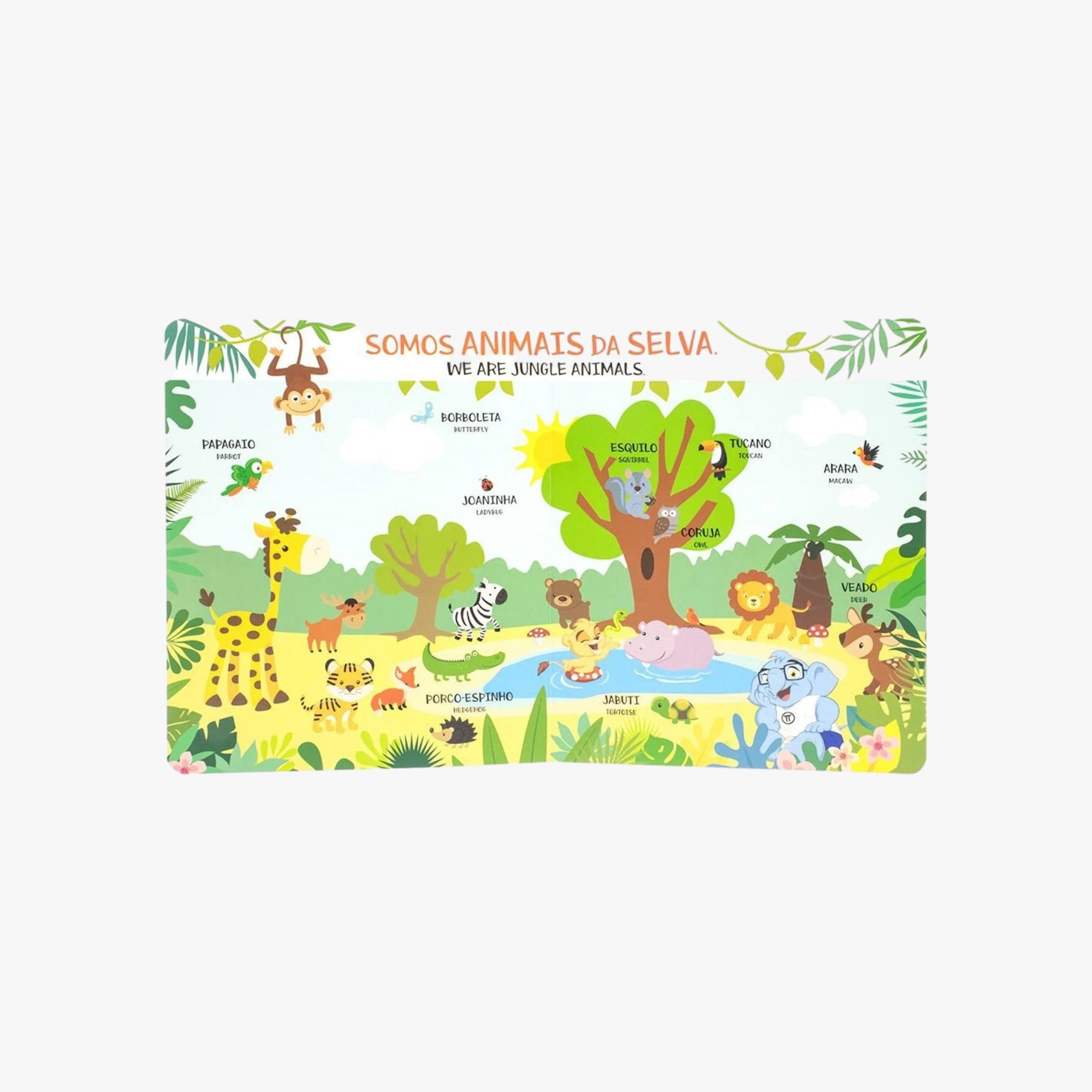 Livro Escolinha Primeiras Palavras: Animais da Selva