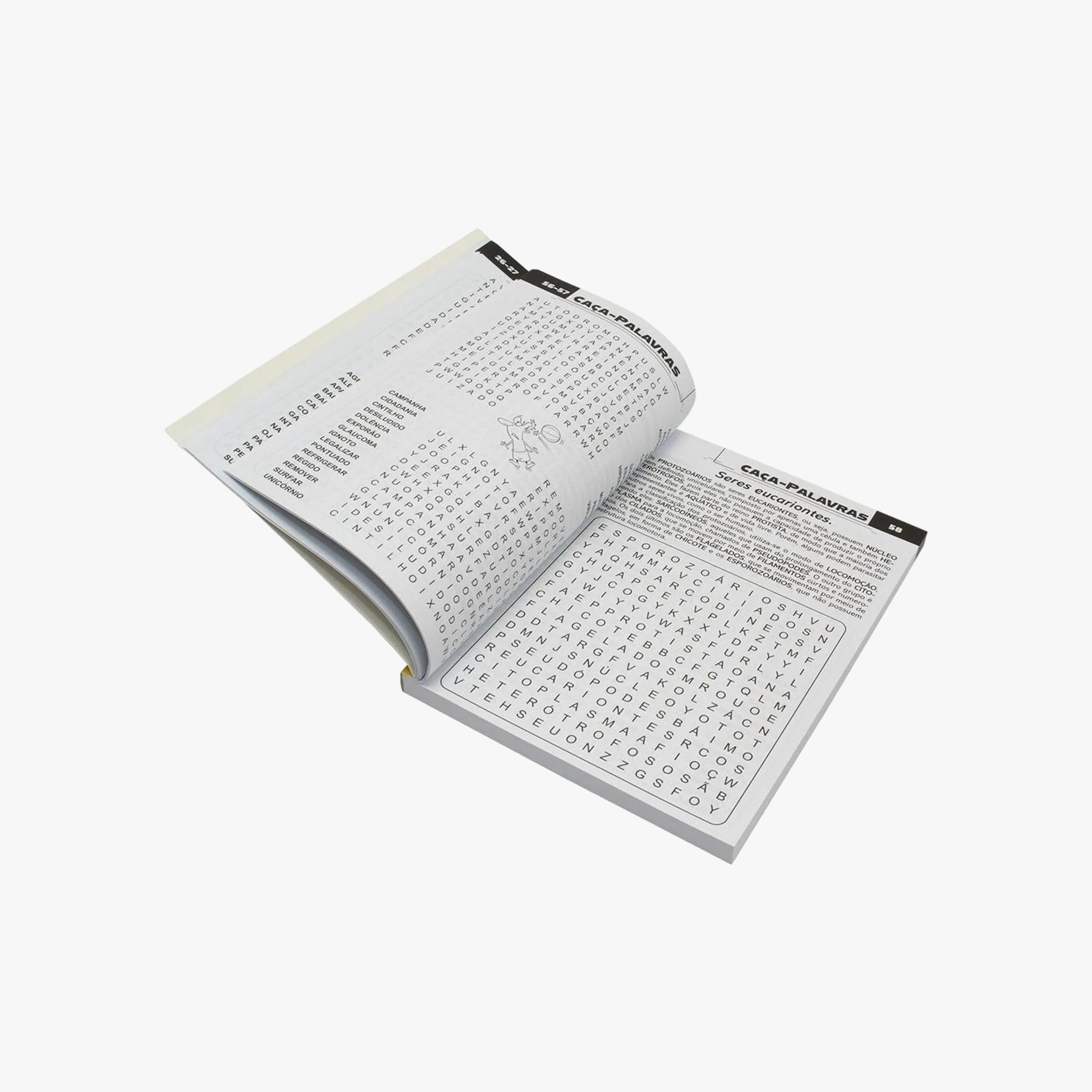 Livro Scottini 365 Caça-palavras N.10