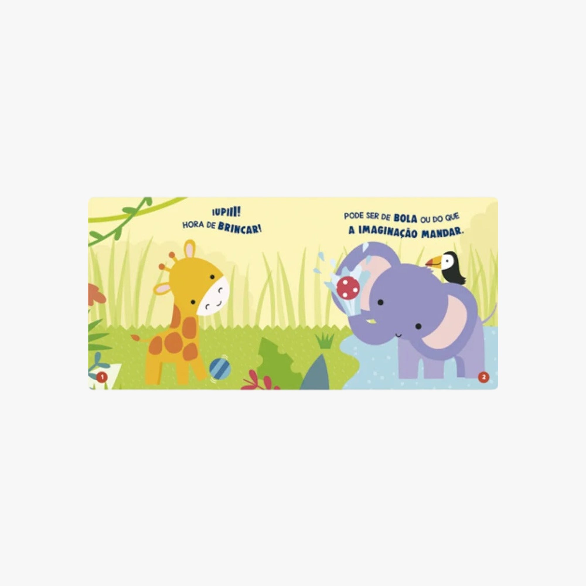 Livro Banho Hora de Brincar Minha Esponjinha Bolinha