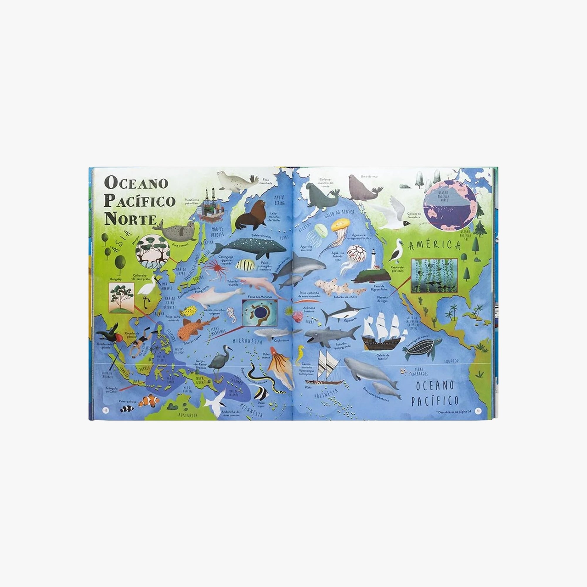 Livro Grandes: Atlas dos Oceanos e Mares do Mundo